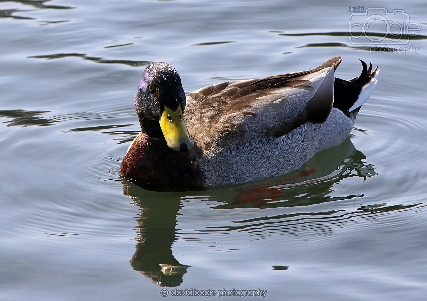 20260319 132139 Beveridge Park 0407.jpg