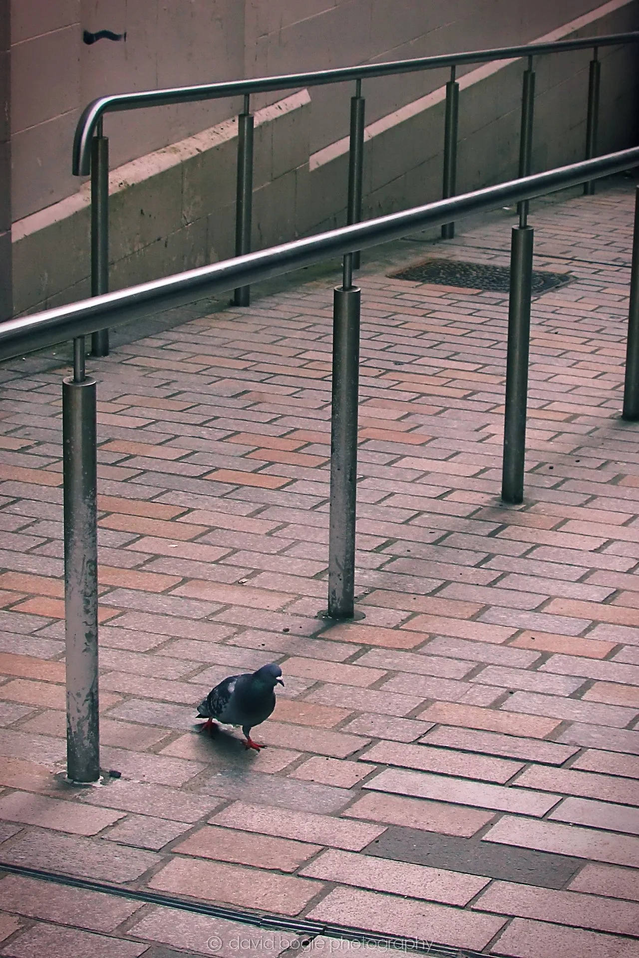 YEAR20220701 Kirkcaldy 1 .jpg