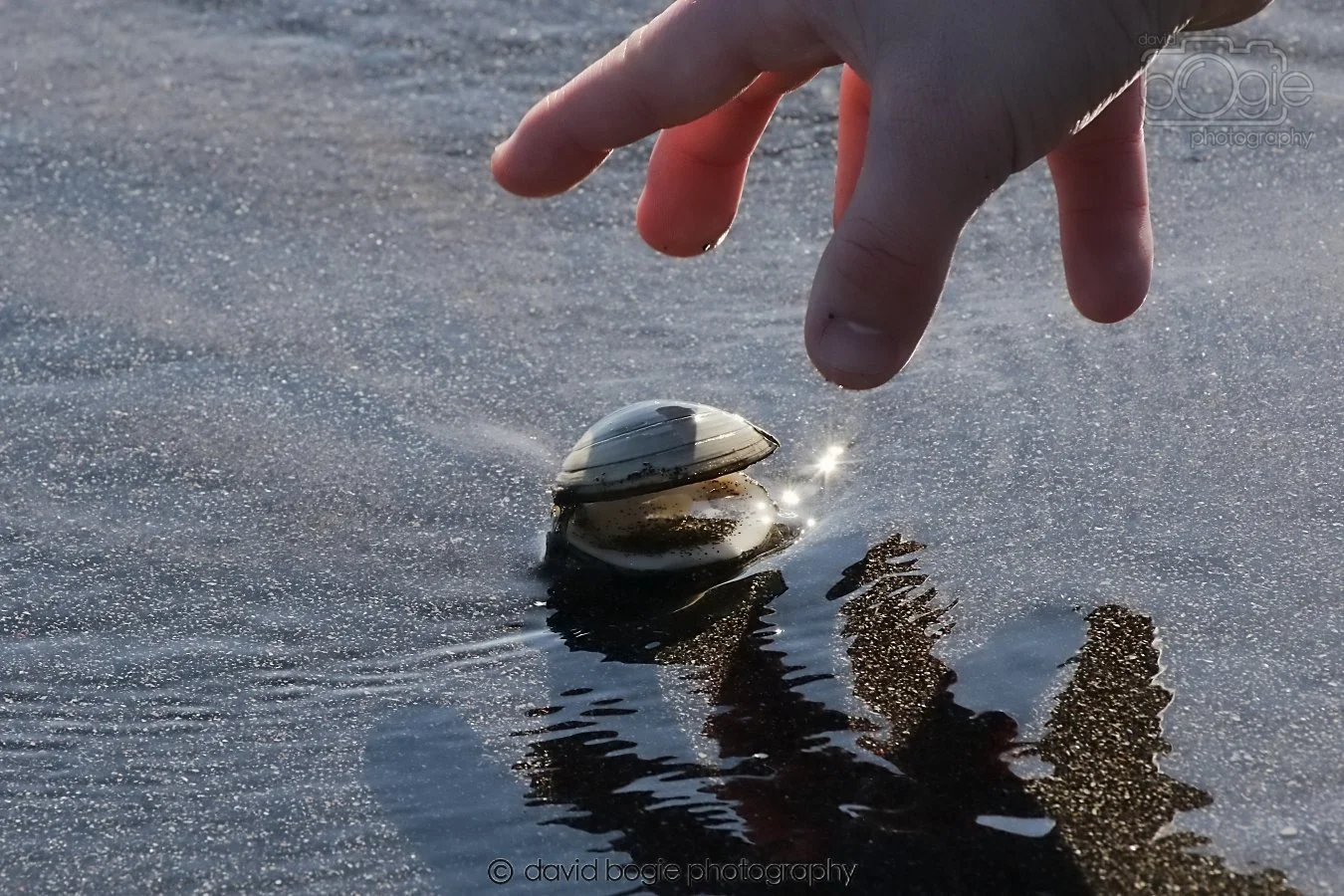 20260307 112139 Kirkcaldy 0133.jpg