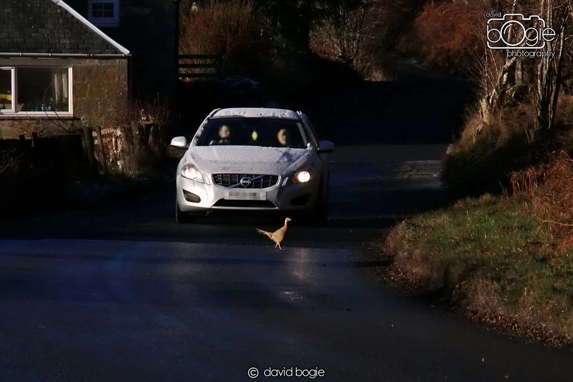 20221215 00031 Aberfeldy.JPG