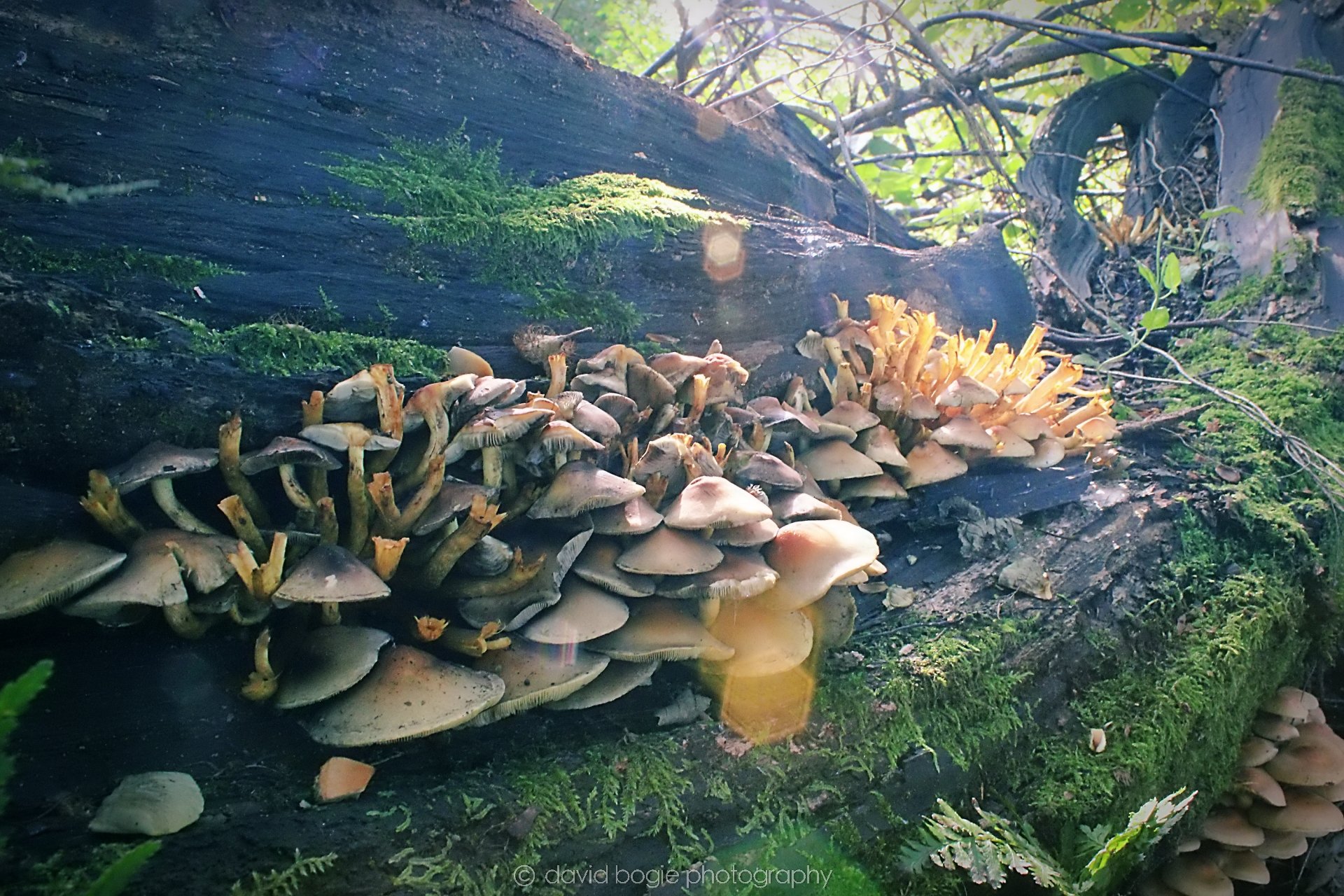 20190913 104933 Dunnikier 0002.jpg