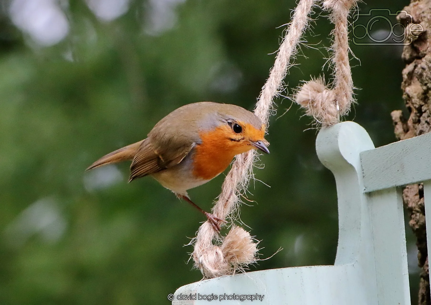 20260330 120708 Dunnikier 0374.jpg