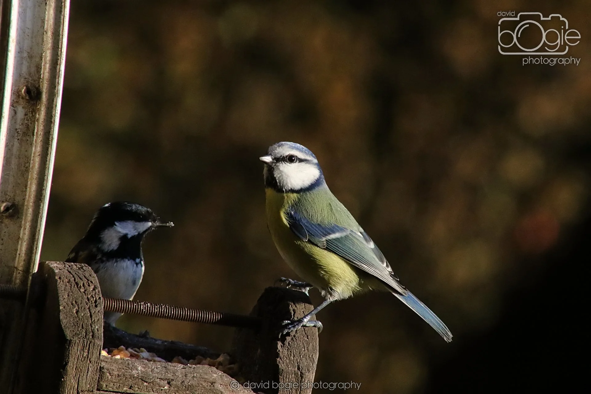 20251125 141040 Silverburn 0618.JPG