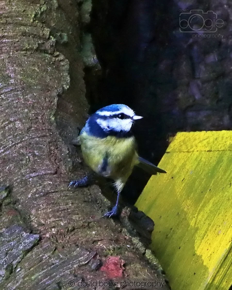 20260128 142212 Dunnikier 0339.jpg