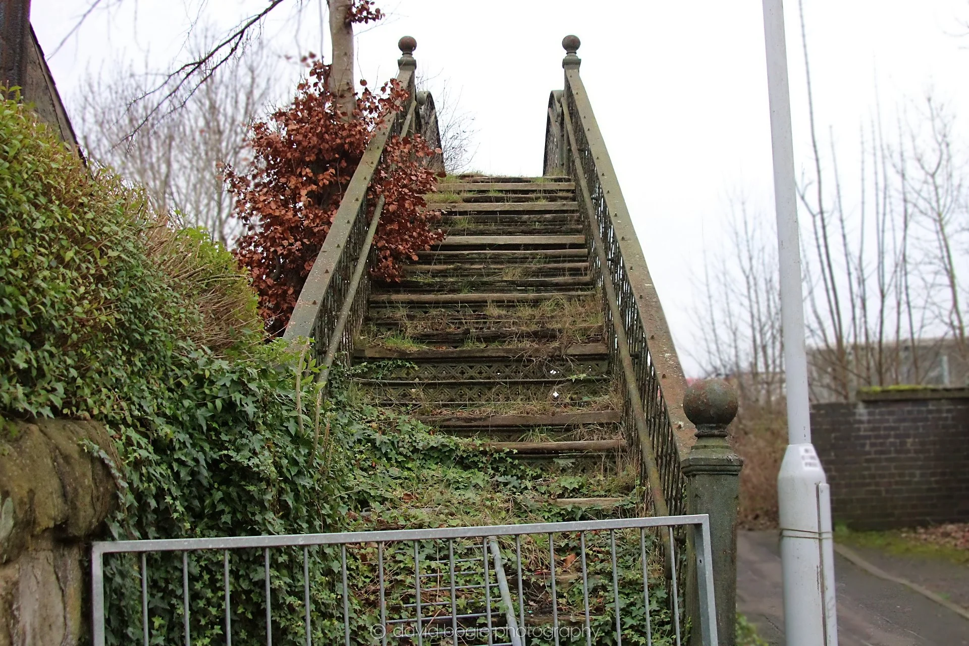 YEAR20220108 Dunfermline 00018.jpg