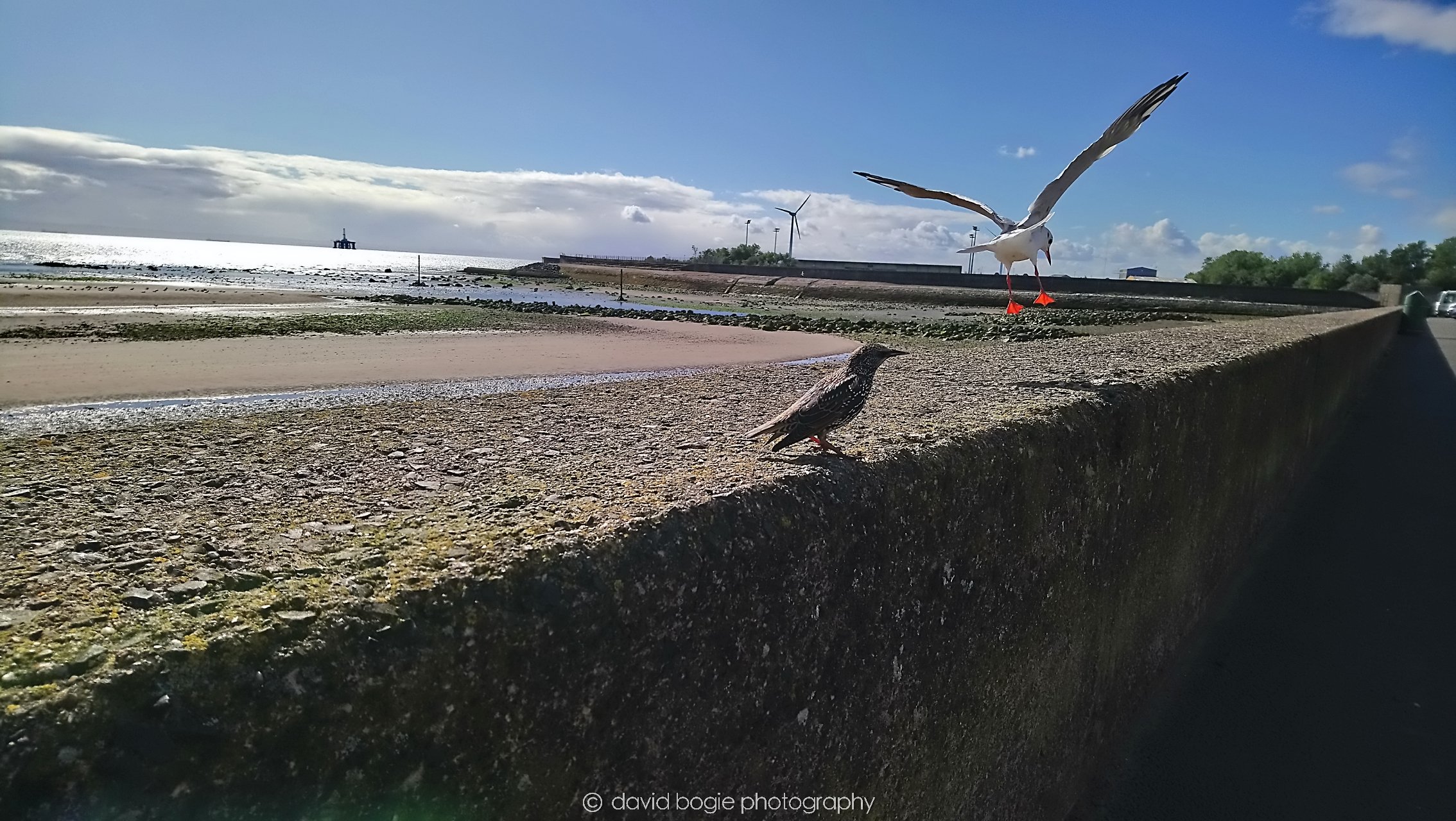 YEAR20180912 122851 Leven 0101.jpg