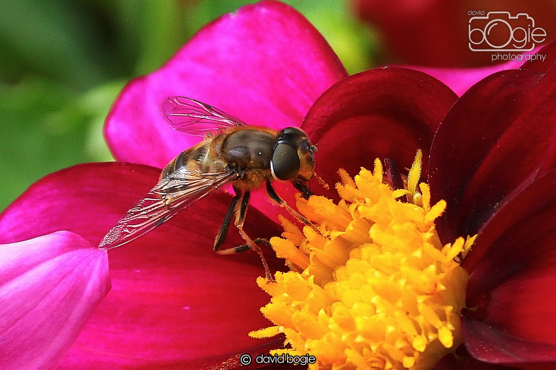 20240722 131710 Beveridge 0073.JPG