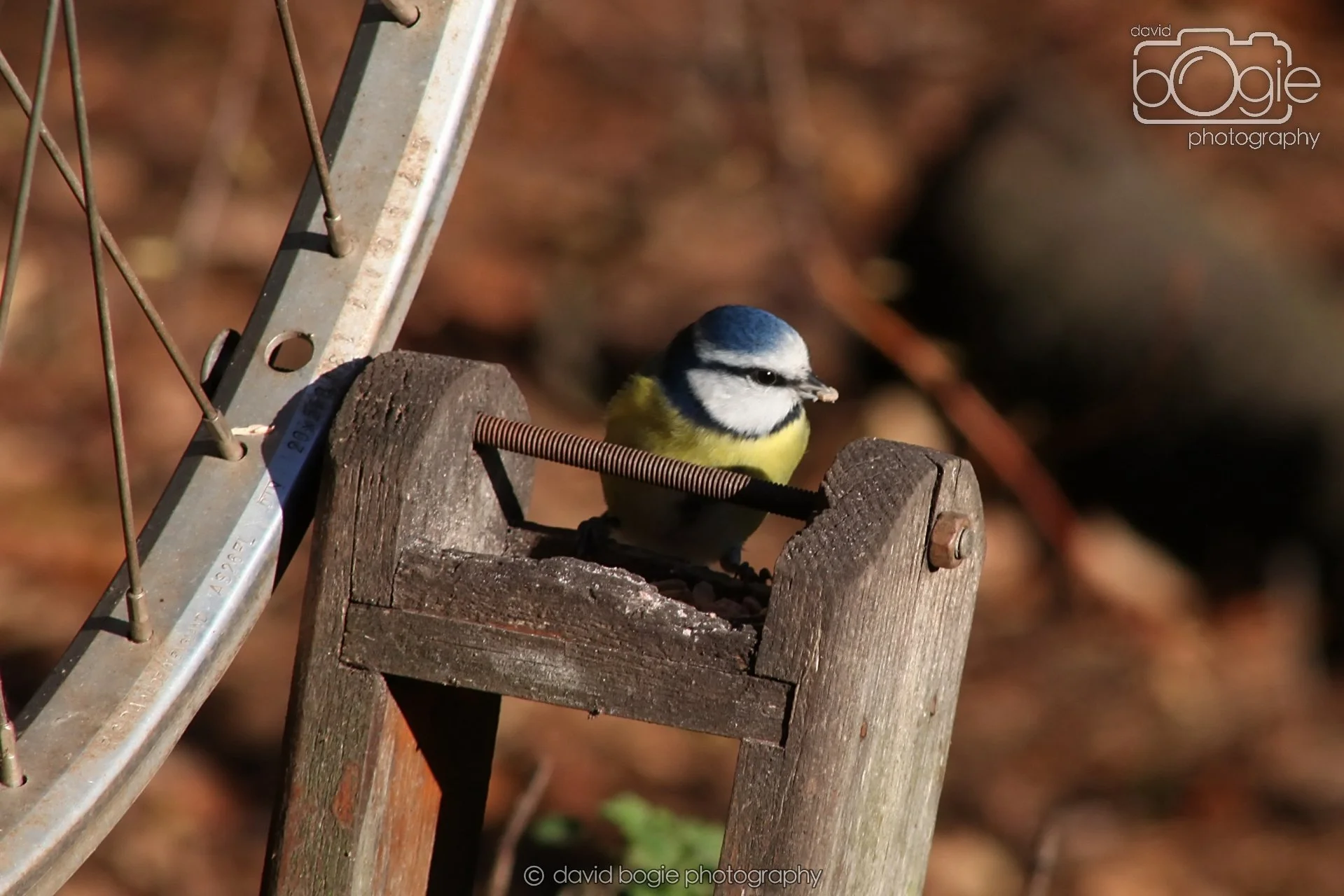 20251125 133738 Silverburn 0098.JPG