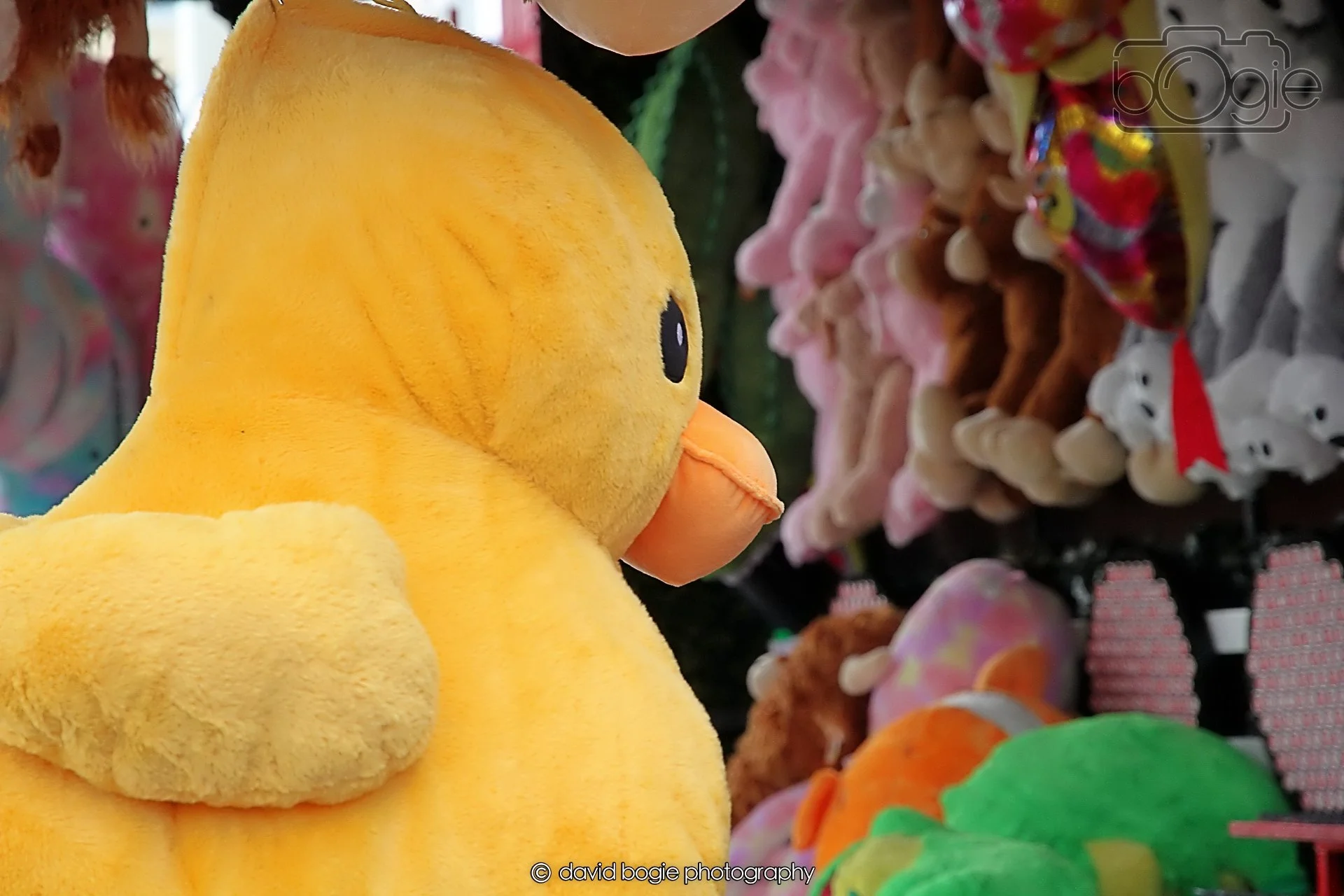 20260415 113002 Links Market 0213.jpg