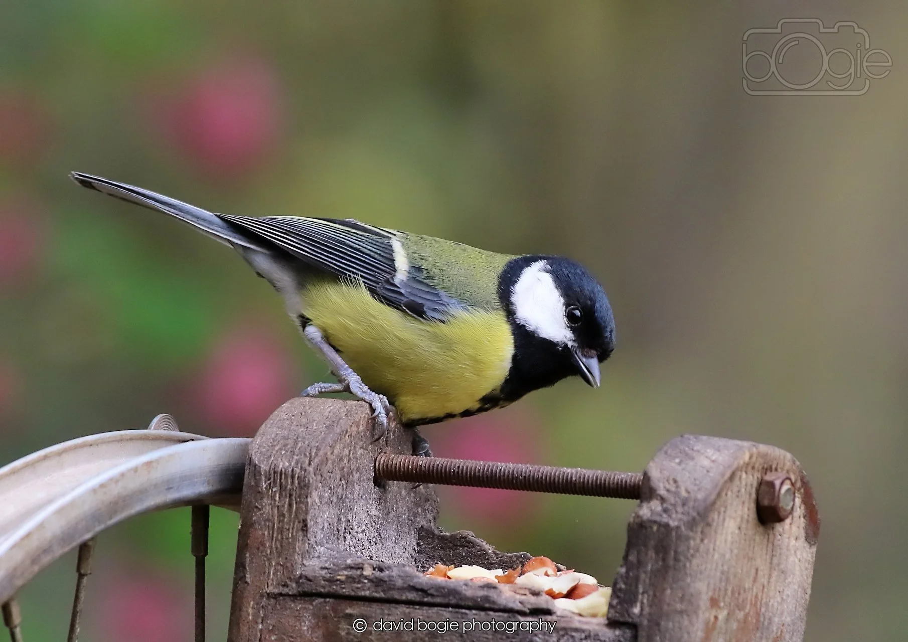 20260326 115352 Silverburn 0278.jpg