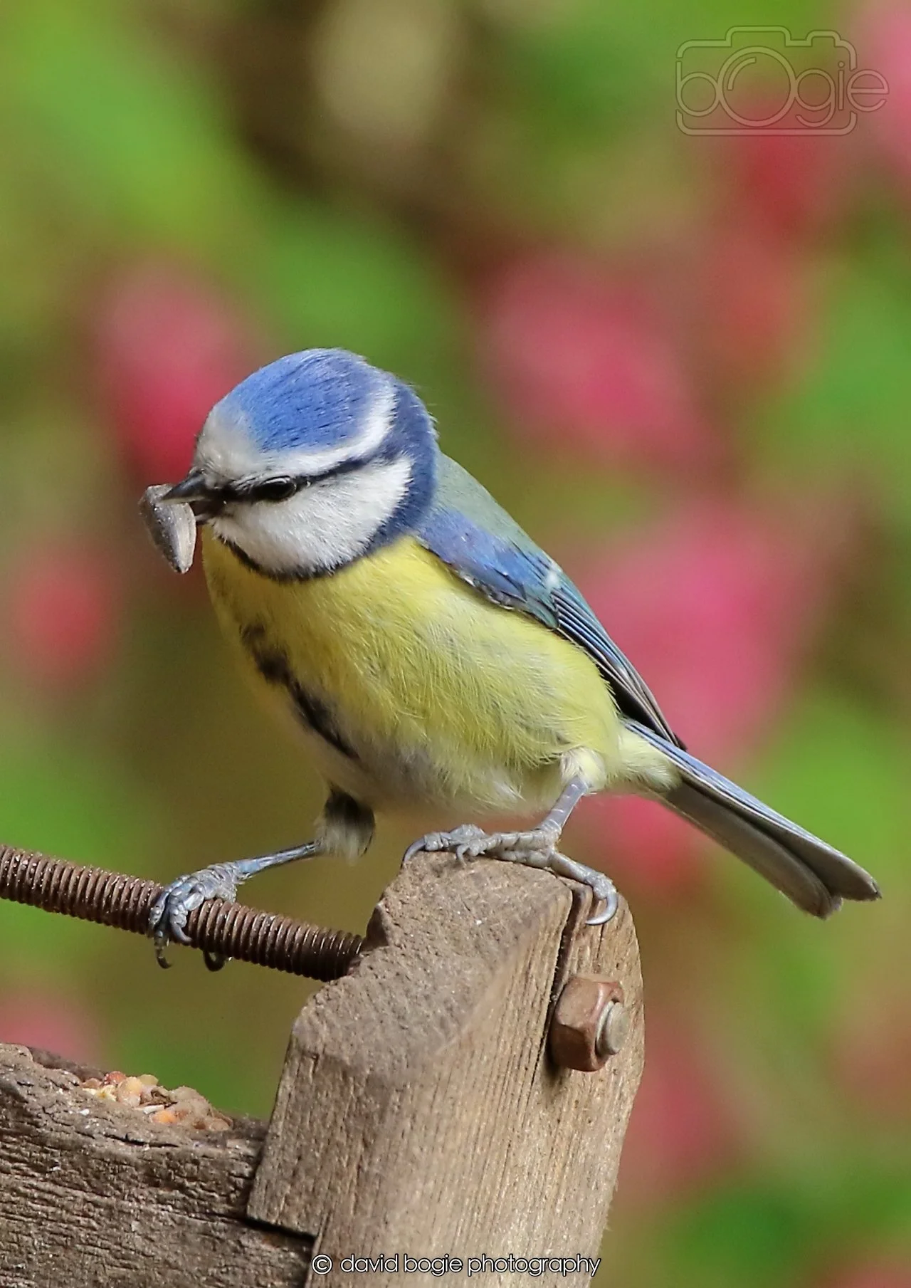 20260326 120923 Silverburn 0447.jpg