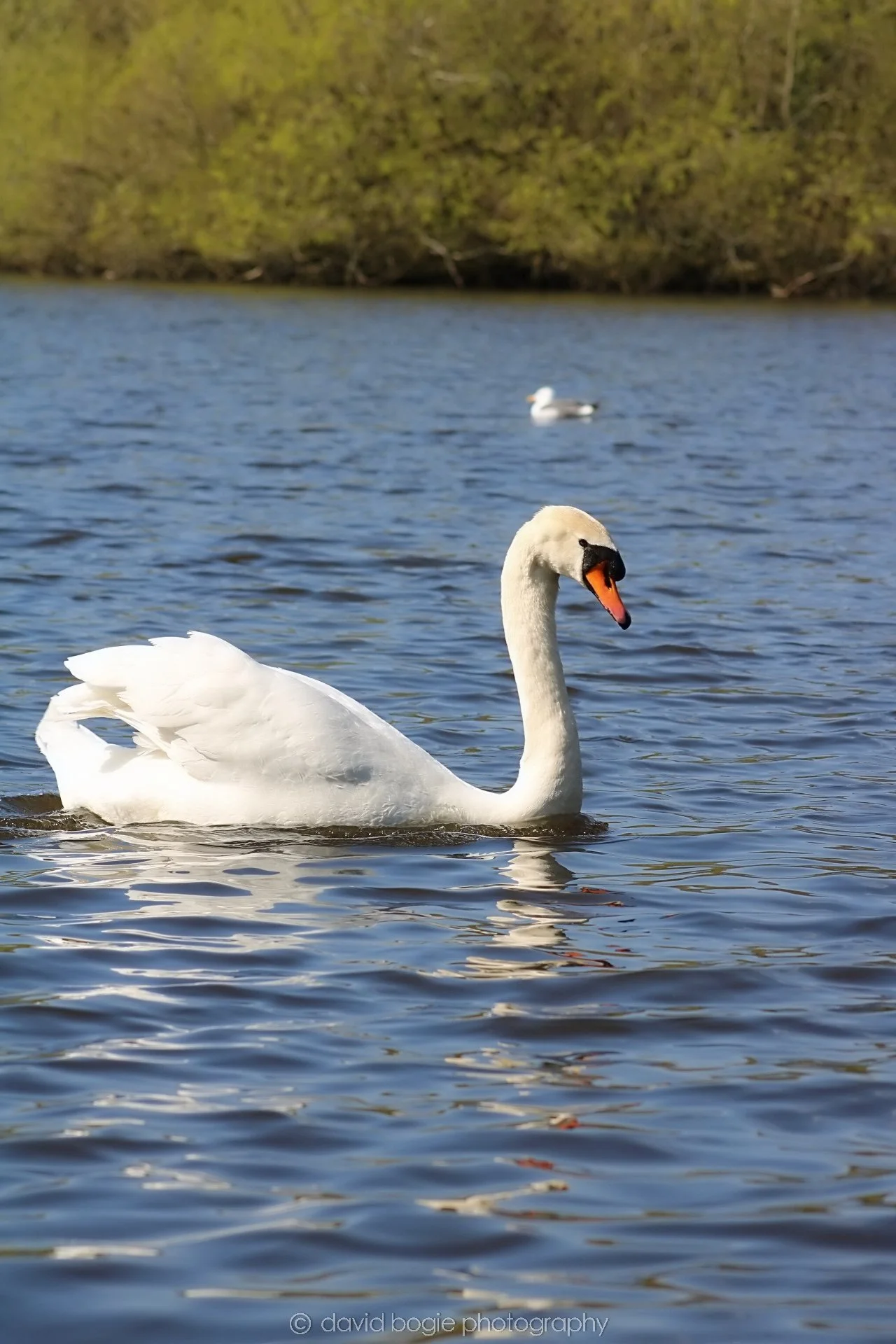 20190411 112255 Otterston 0025.jpg