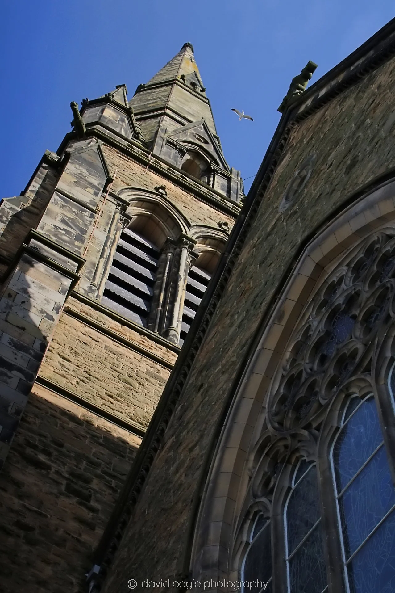 YEAR20240318 KIRKCALDY 0104.jpg