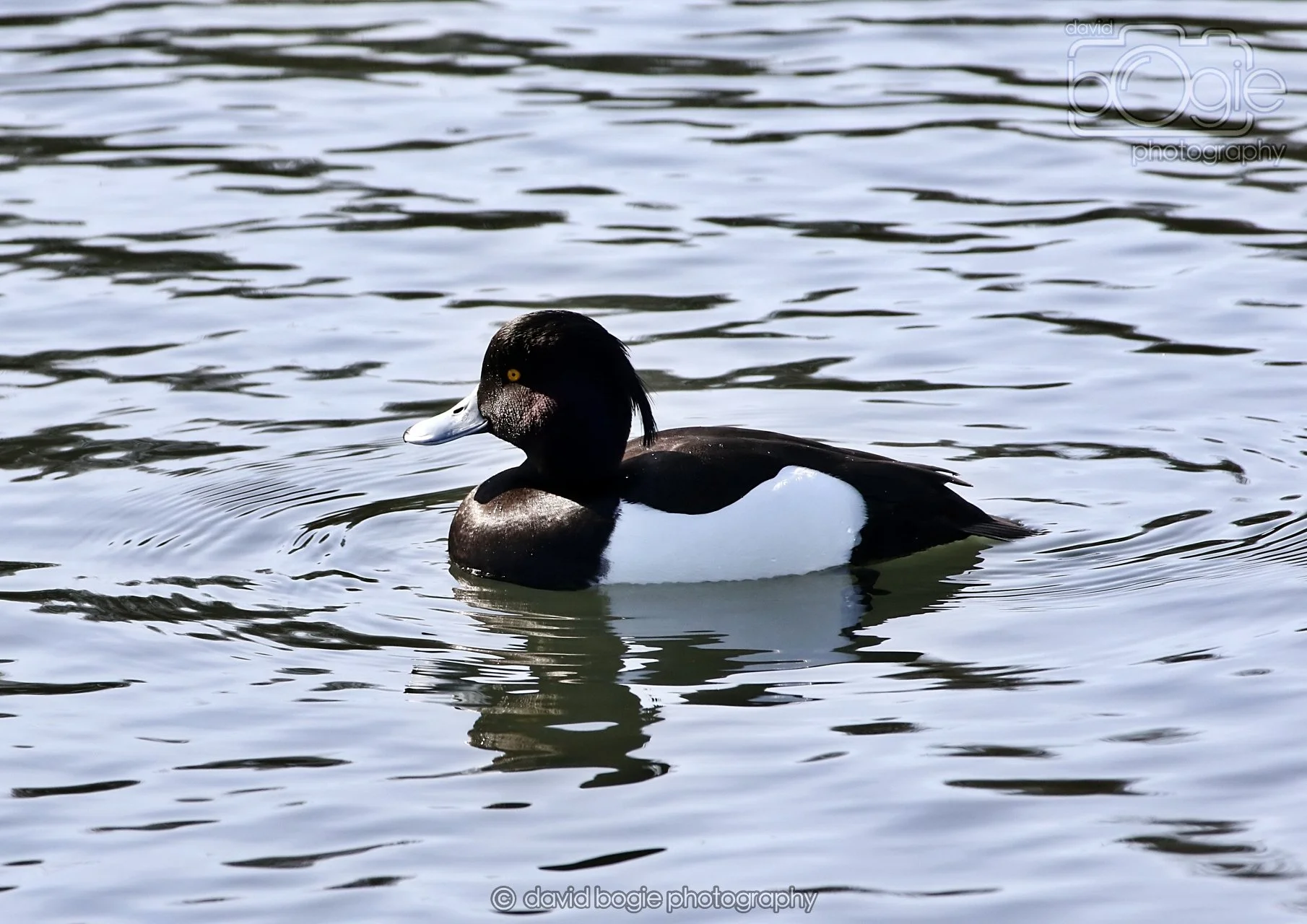 20260319 133039 Beveridge Park 0451.jpg