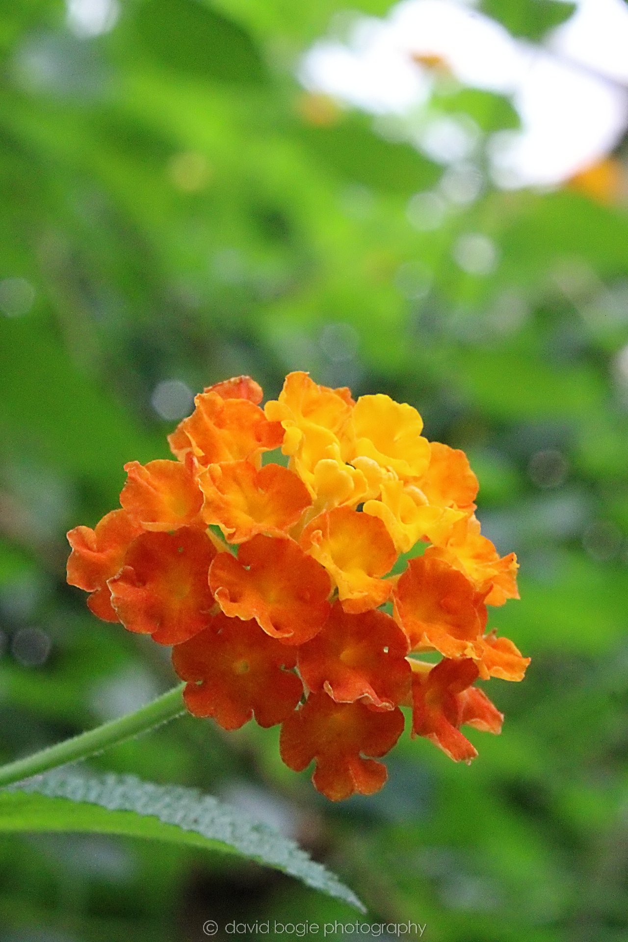 20191019 130310 Butterfly World 0035.jpg
