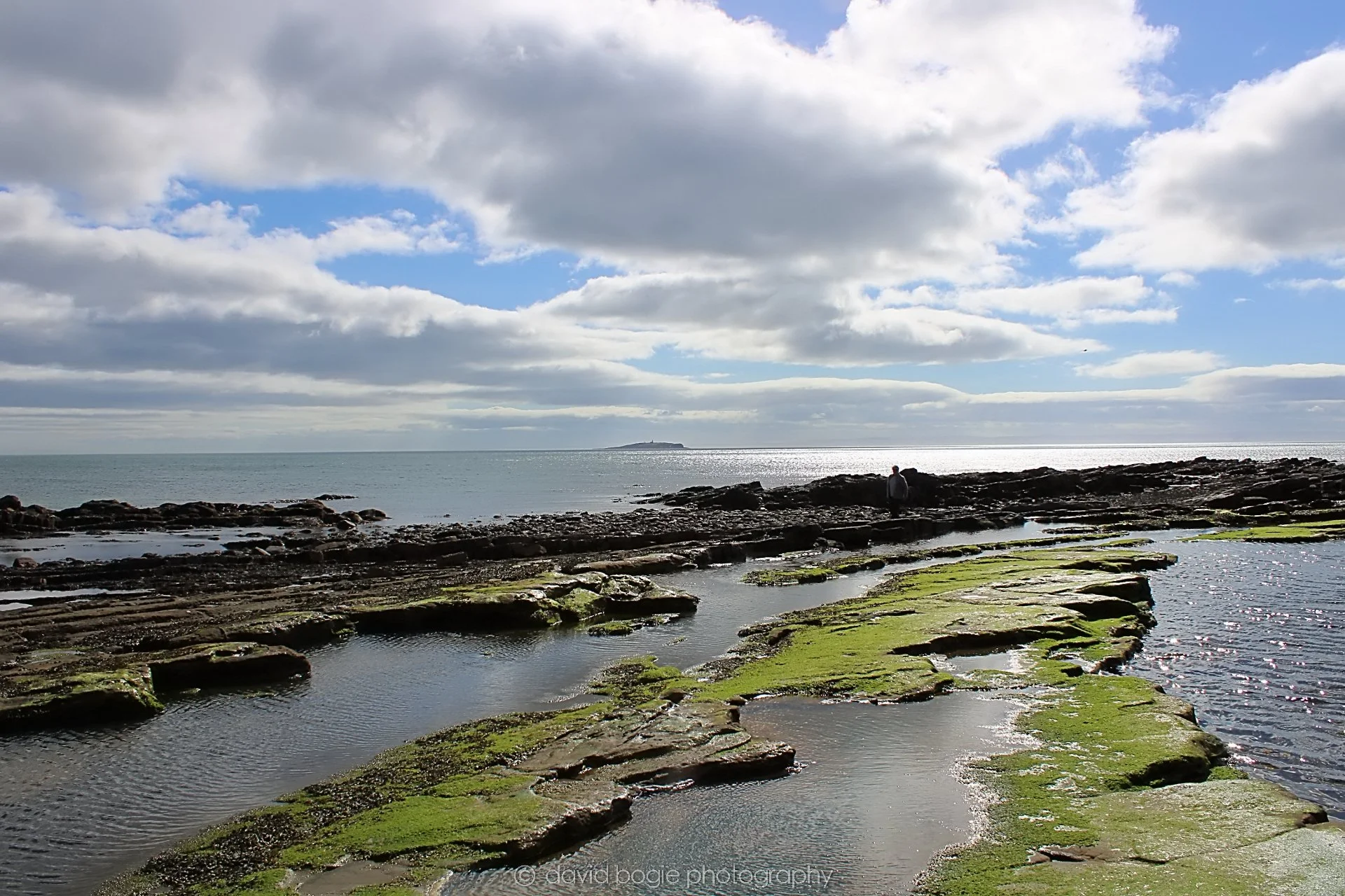 20190326 114819 Crail 0008.jpg