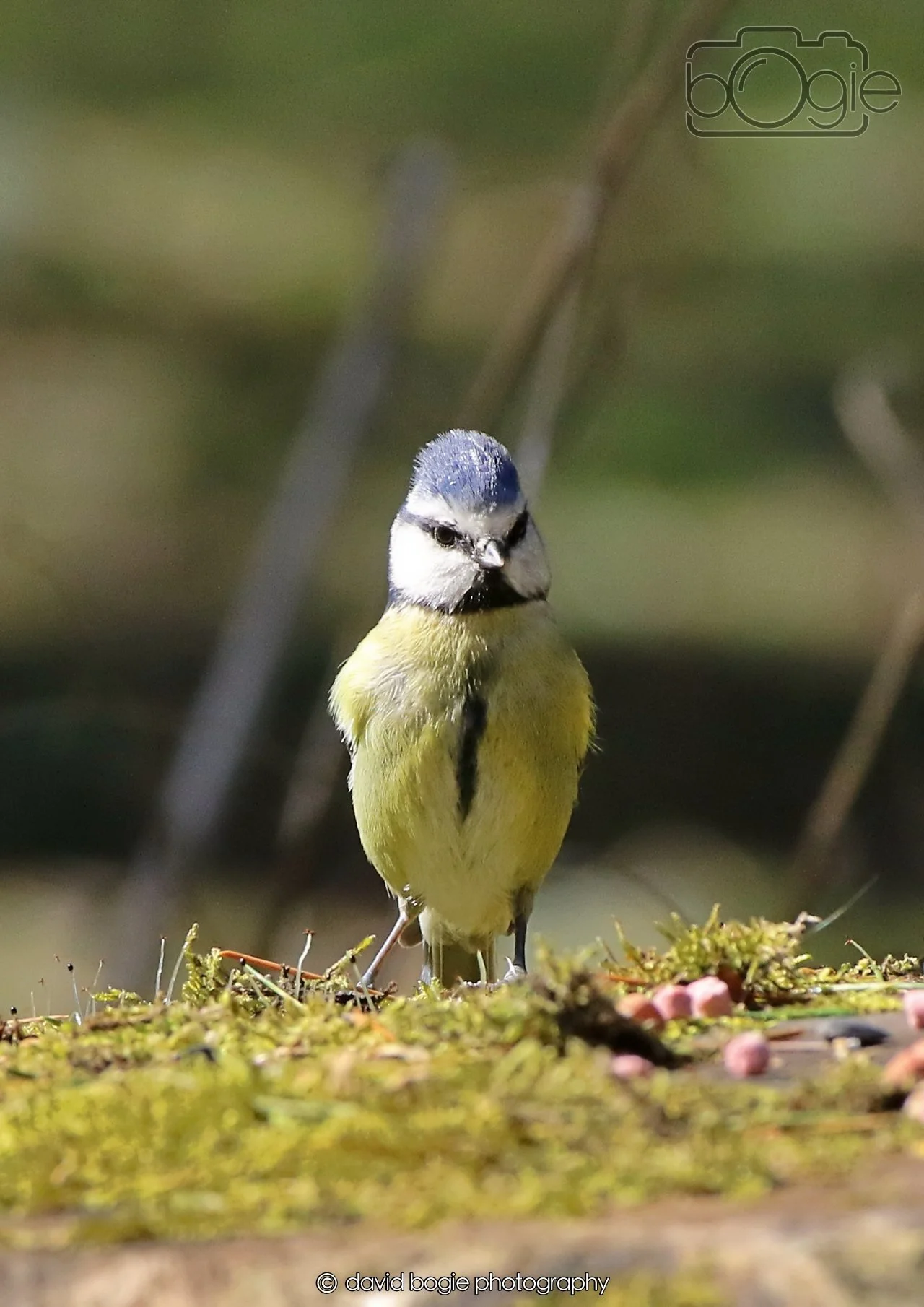 20260402 123648 Ravenscraig 0445.jpg