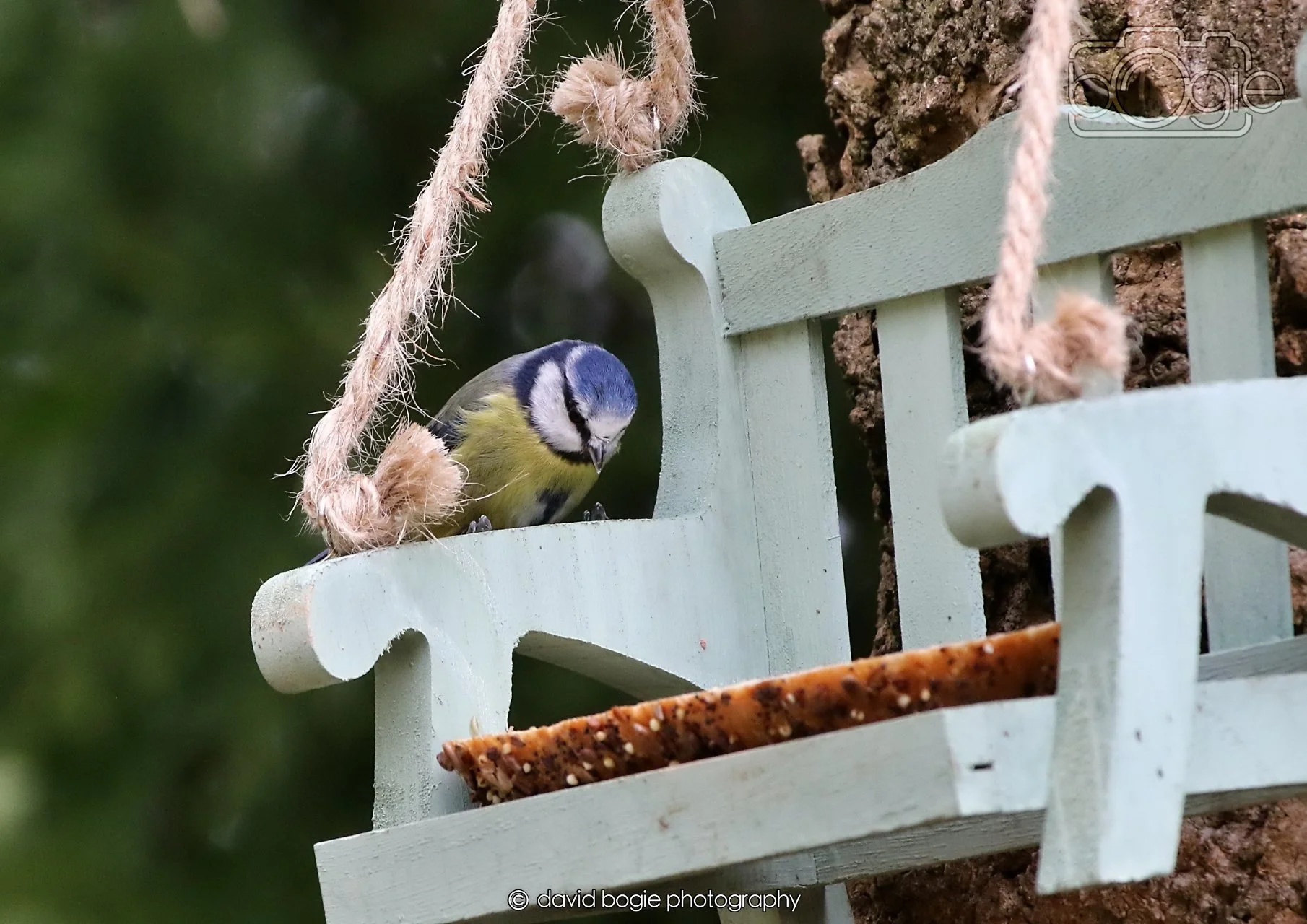 20260330 111339 Dunnikier 0052.jpg