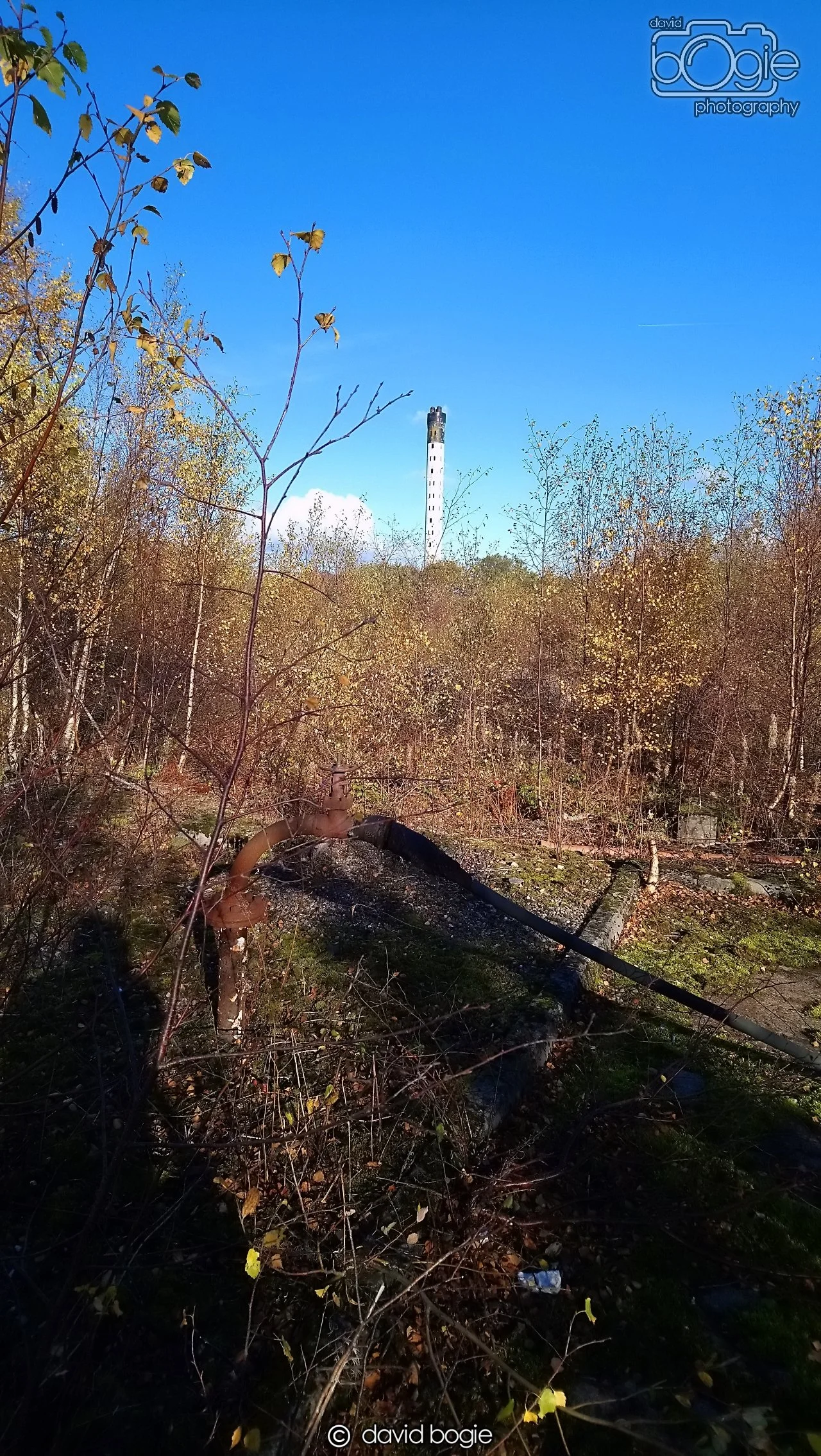 20181029 Westfield (7).JPG