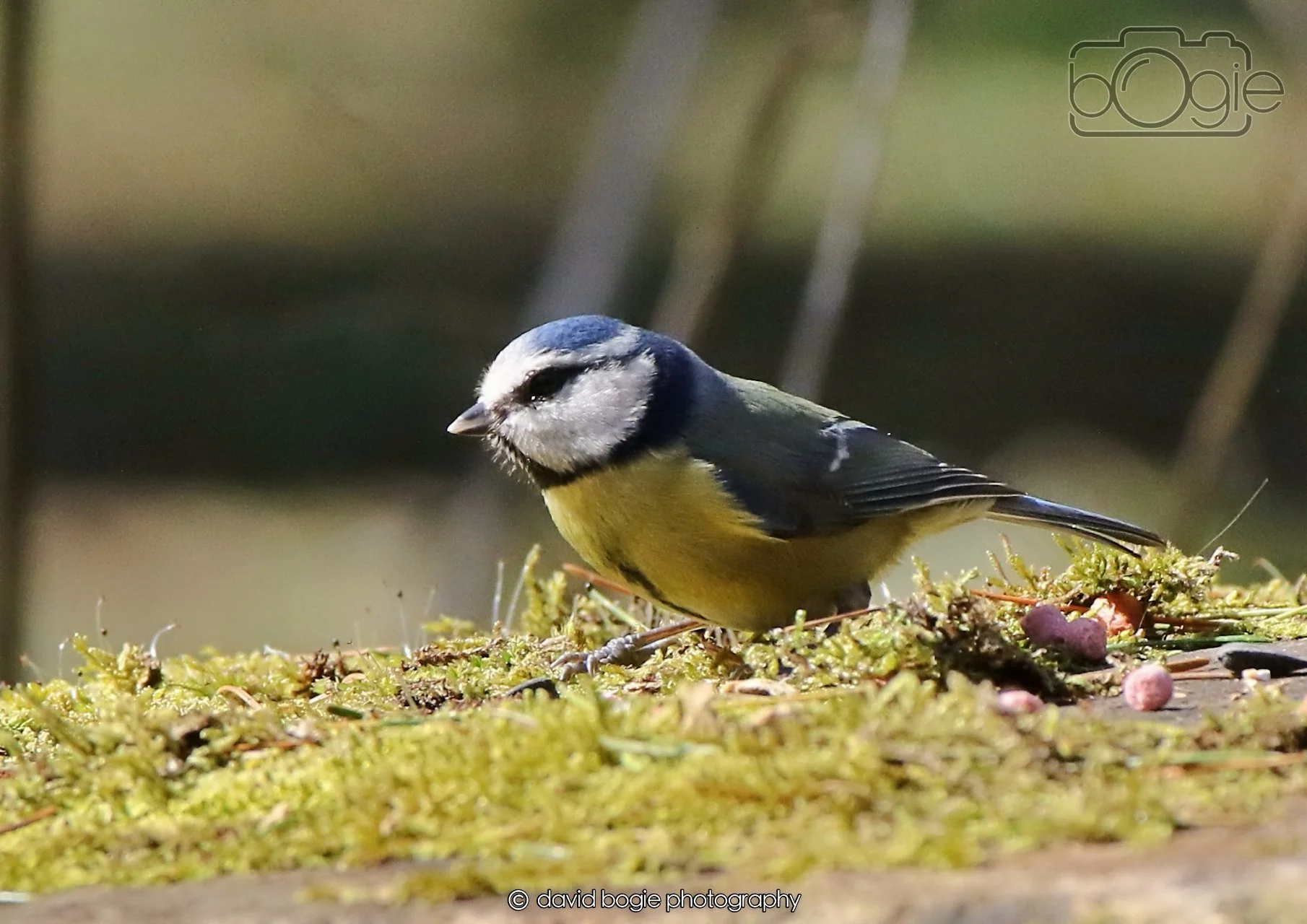 20260402 123655 Ravenscraig 0465.jpg