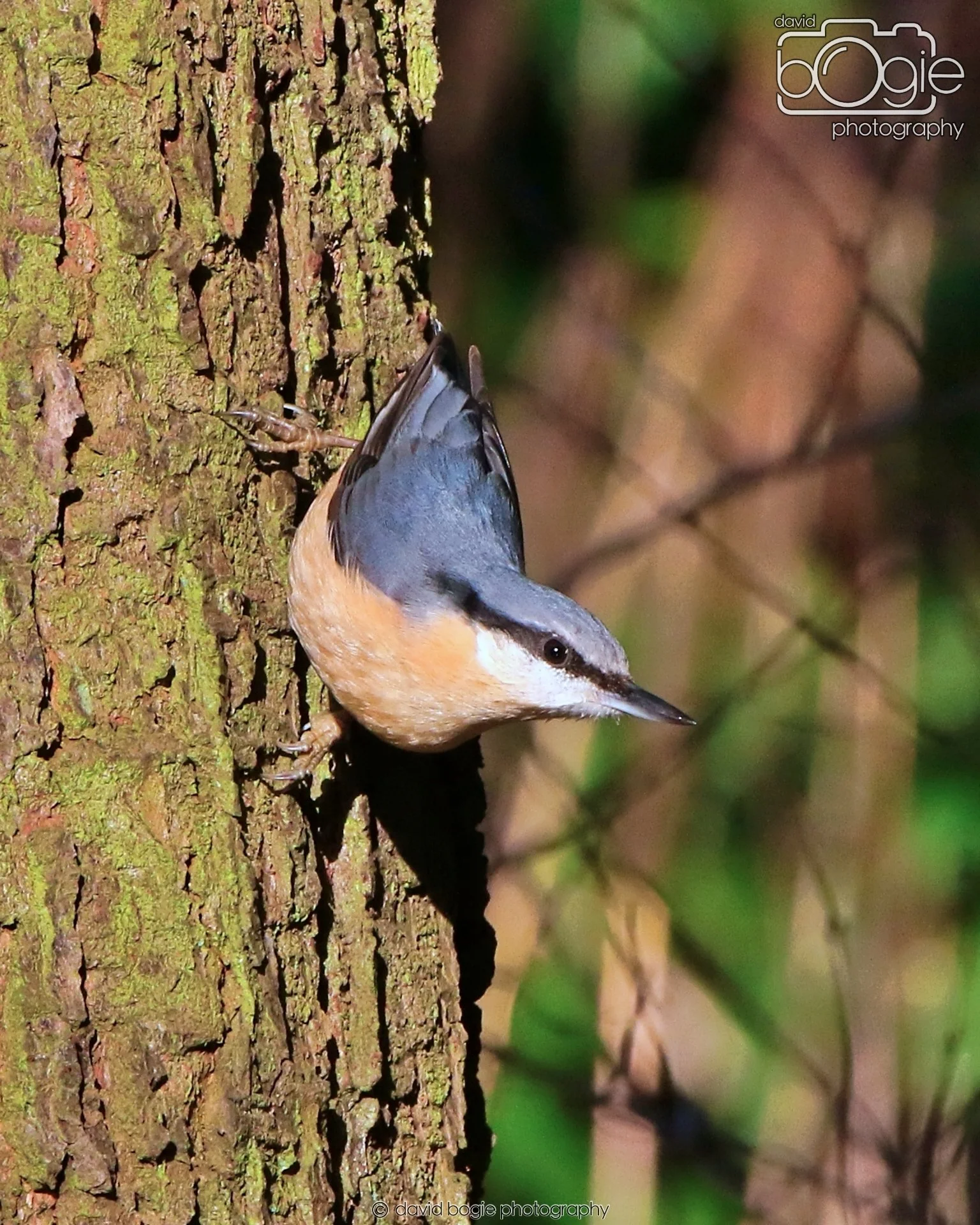 20260128 125116 Dunnikier 0080.JPG