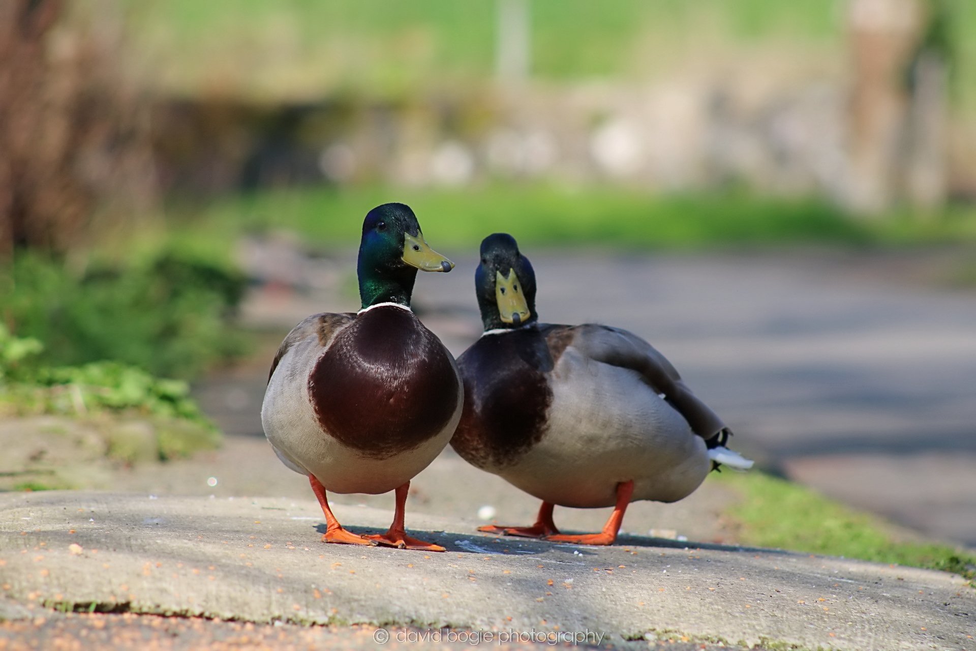 20190411 111544 Otterston 0015.jpg