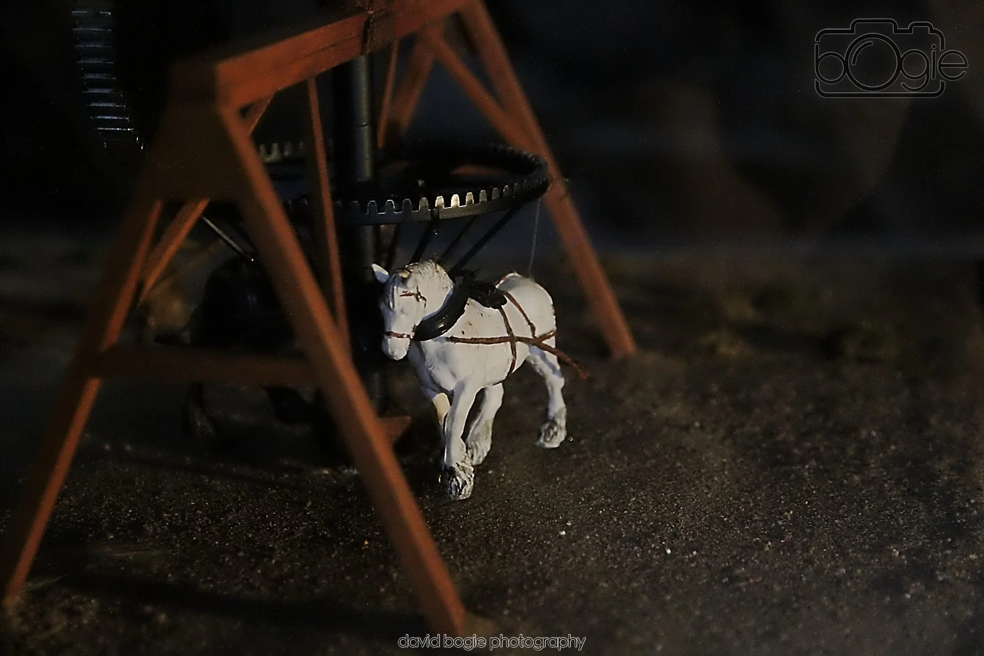 20260401 120043 Culross 0046.jpg