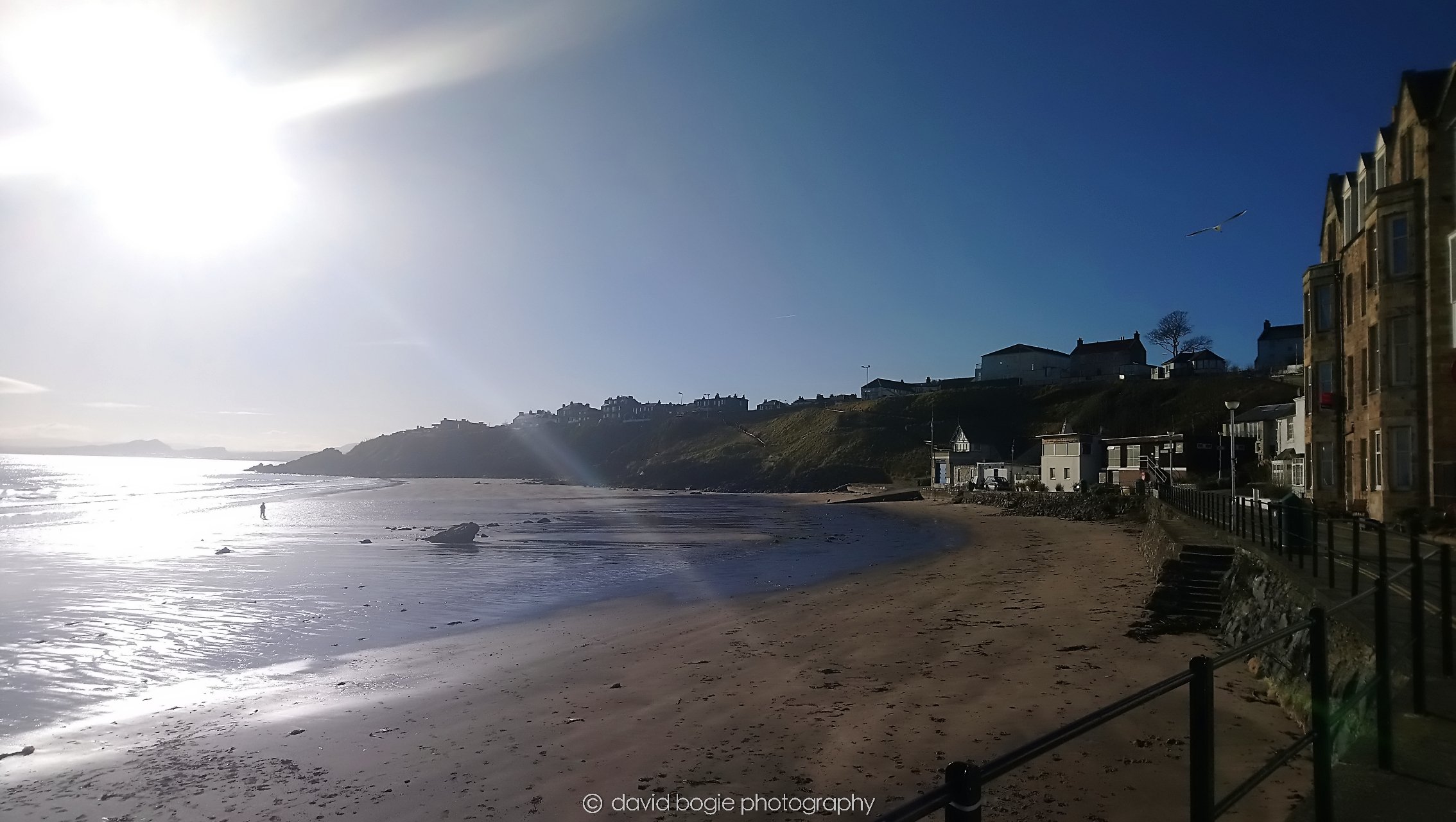 YEAR20180202 121455 Kinghorn 0001.jpg