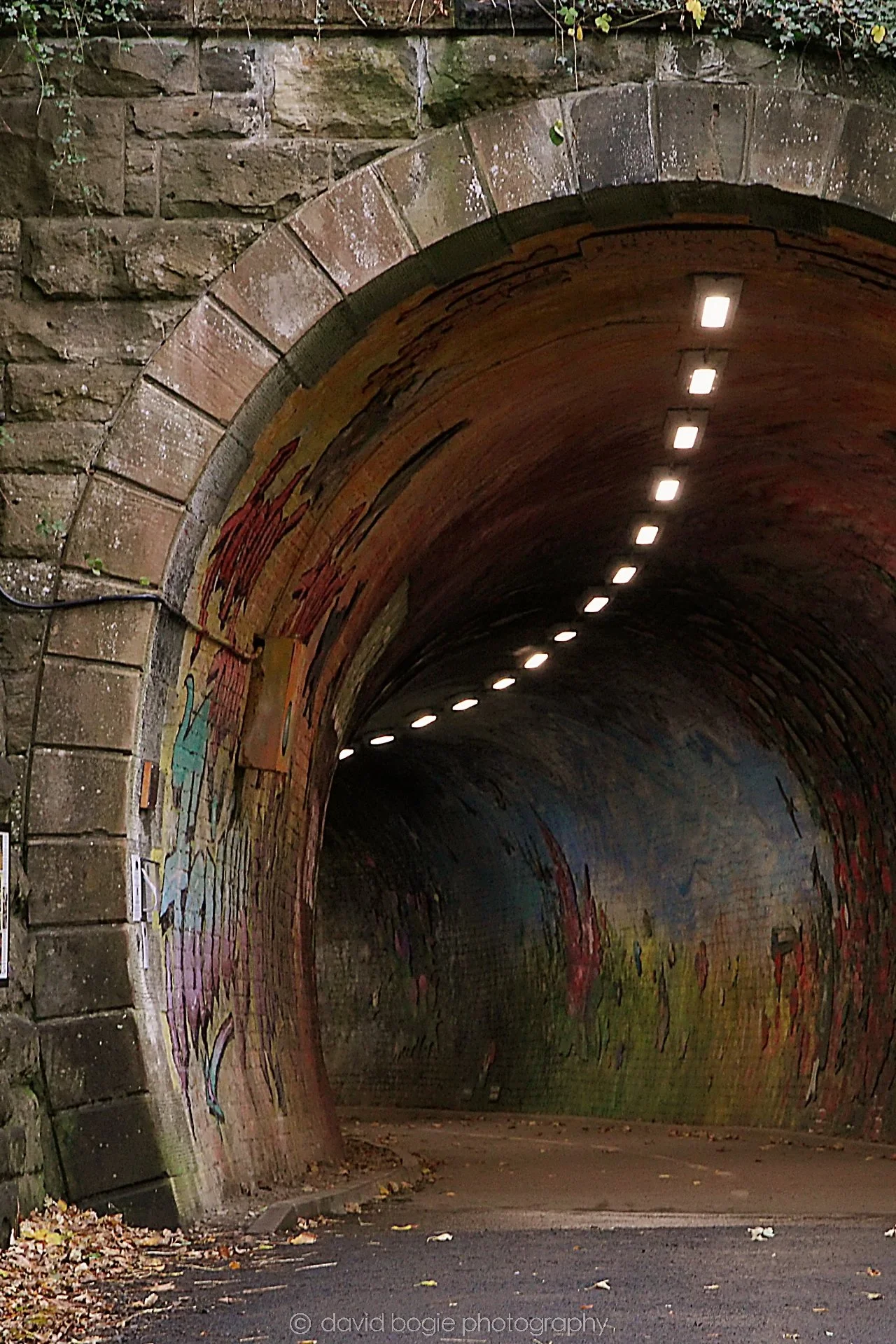 YEAR20221102 135826 Colinton Tunnel 0003.jpg