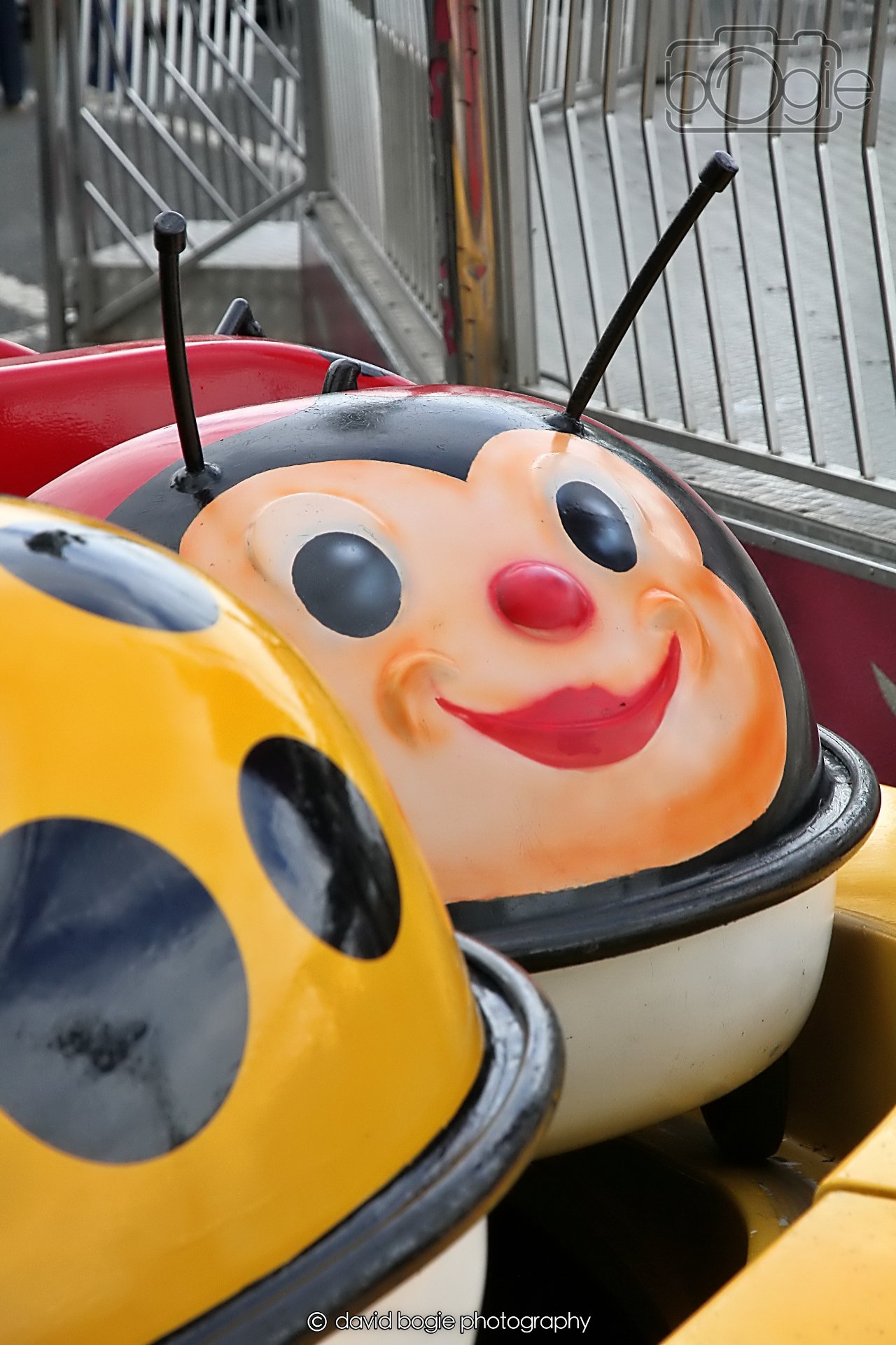 20260415 112409 Links Market 0183.jpg