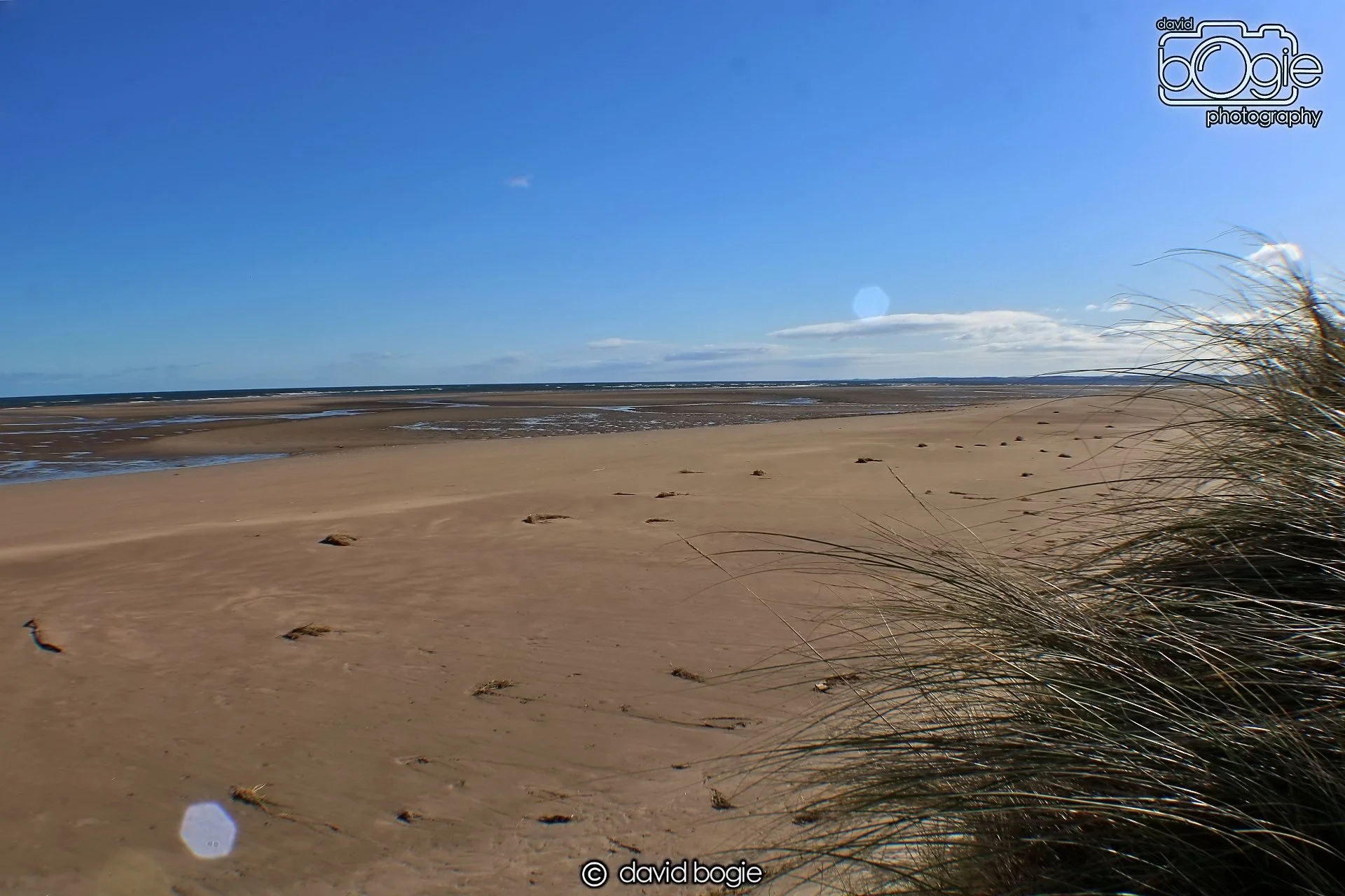 20191002 133054 Tentsmuir 0016.jpg