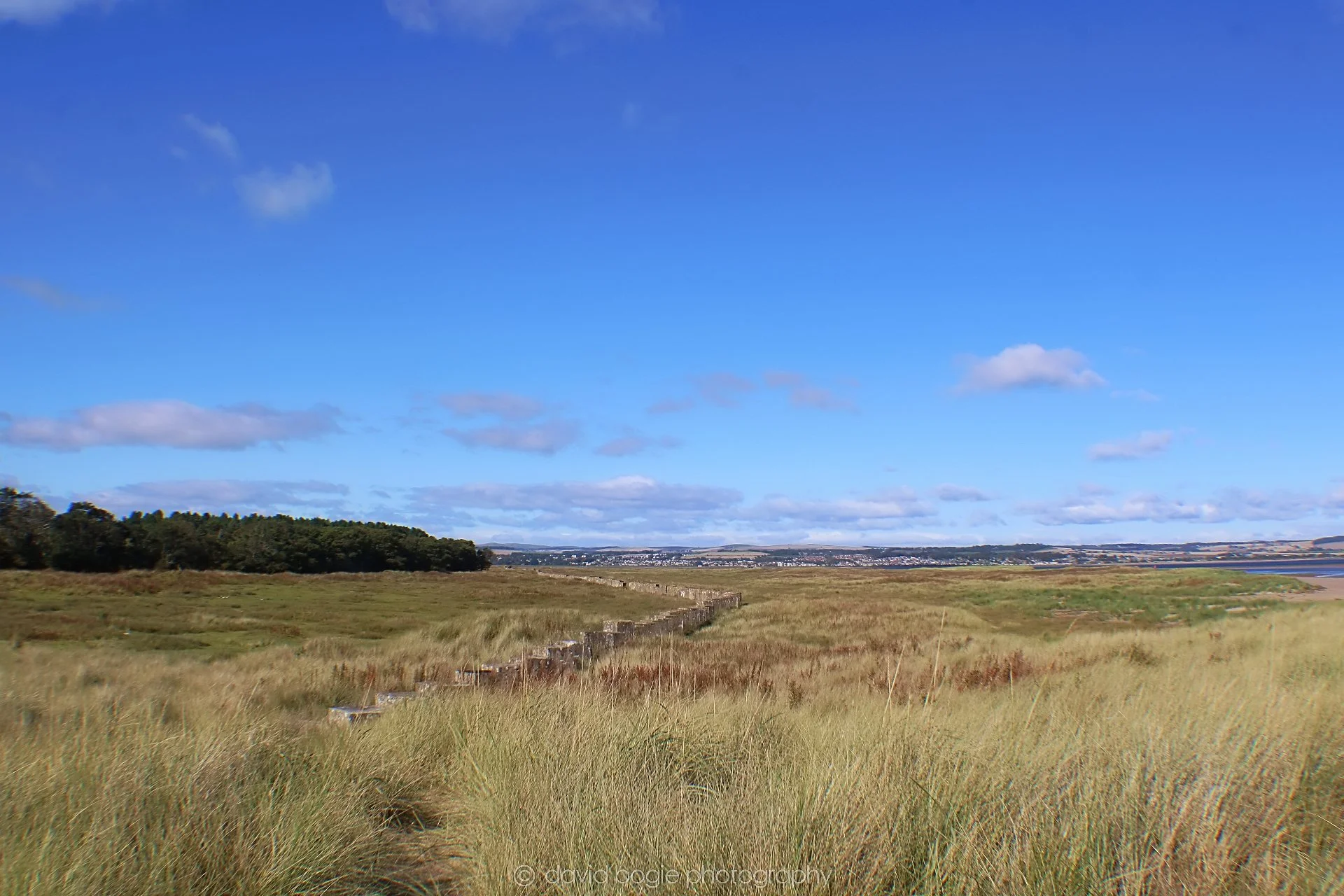 20191002 132745 Tentsmuir 0019.jpg