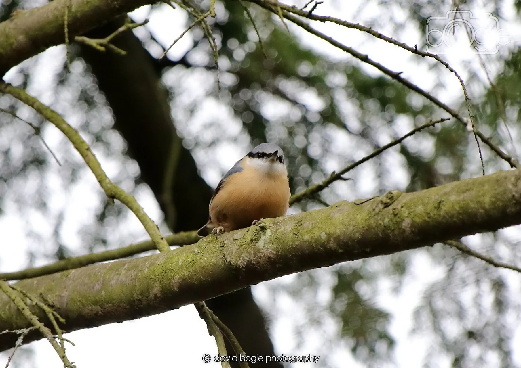 20260330 120605 Dunnikier 0360.jpg