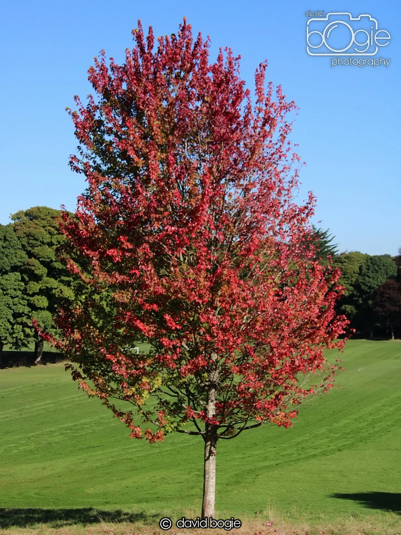 20240918 112821 Beveridge 0089.JPG