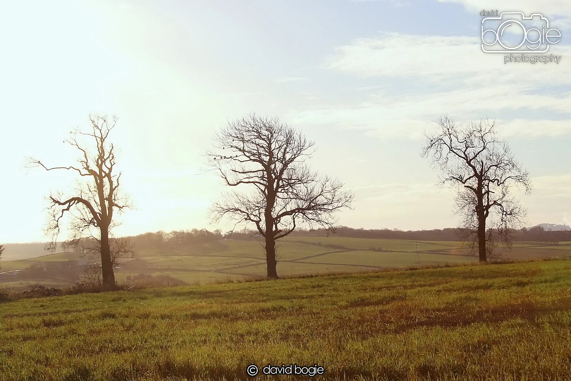 20221208 Kinglassie 00006 .JPG