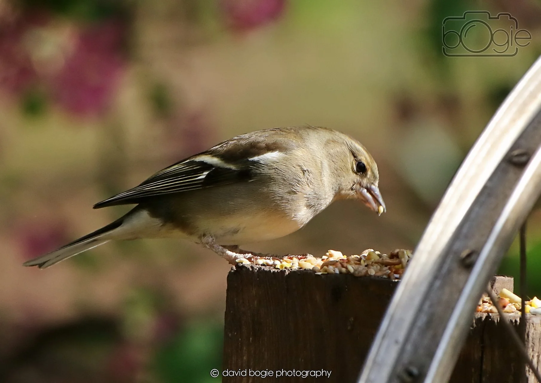 20260402 101910 Silverburn 0156.jpg