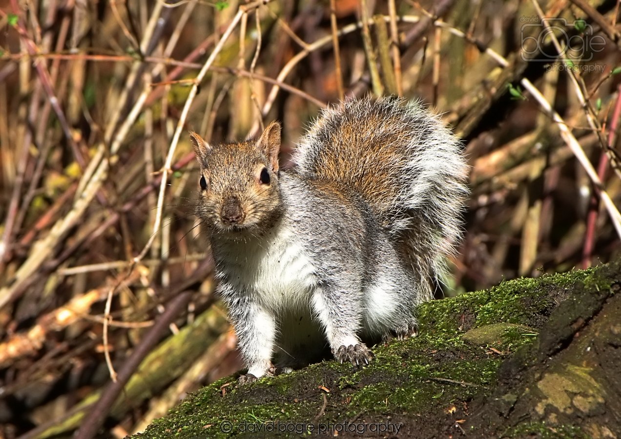 20260306 121314 Dunnikier 0552.jpg