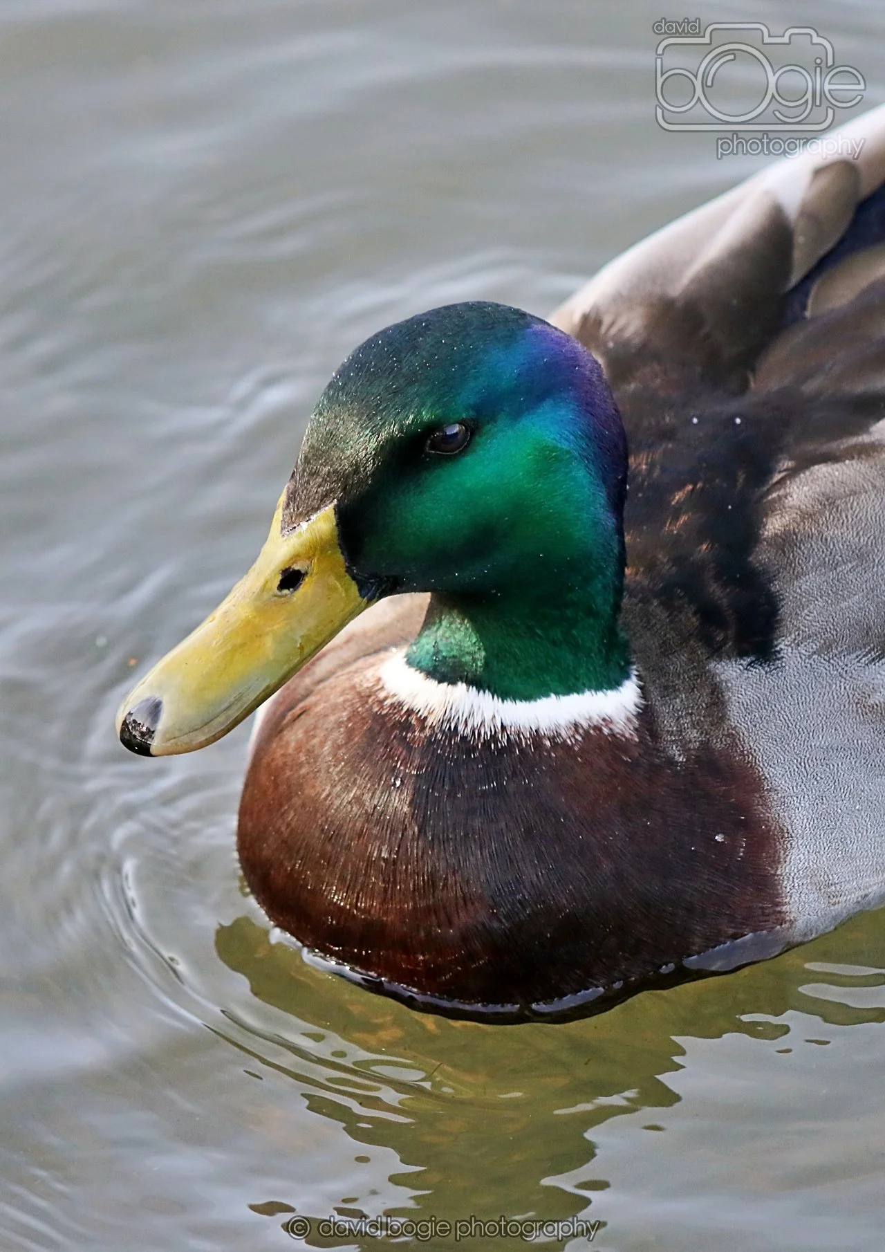 20260319 133434 Beveridge Park 0489.jpg