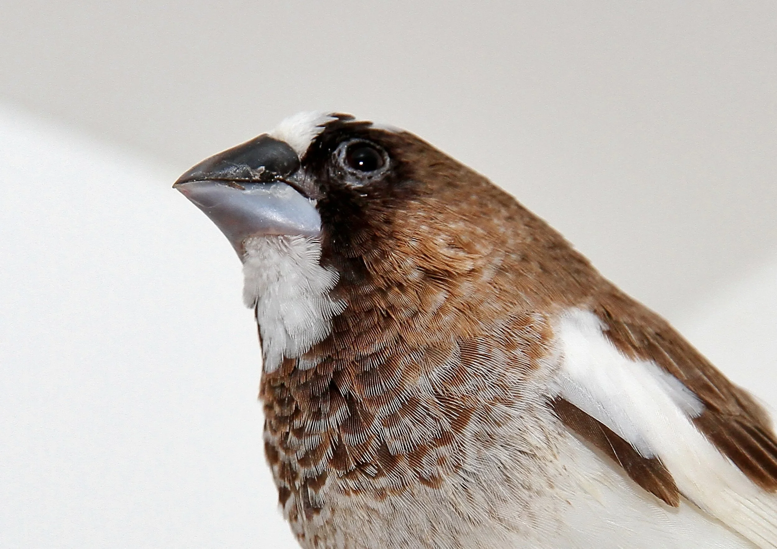 20260331 111841 K&S 0471.jpg