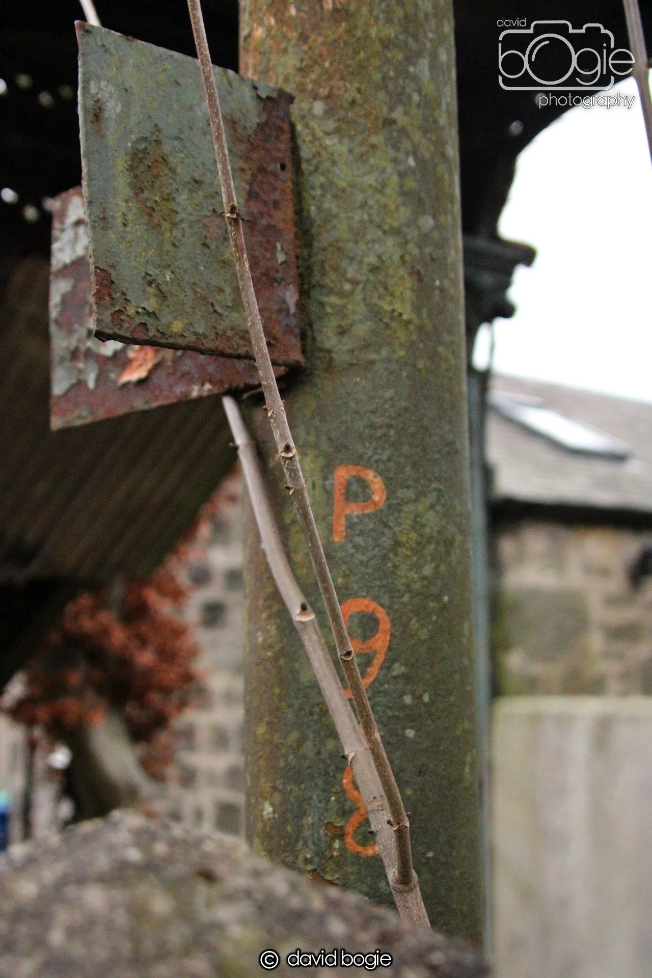 20220108 Dunfermline 00014.JPG