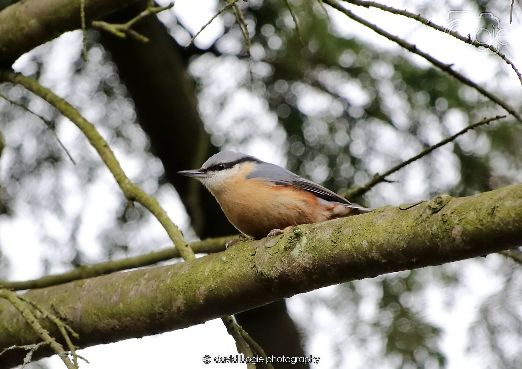 20260330 120606 Dunnikier 0364.jpg