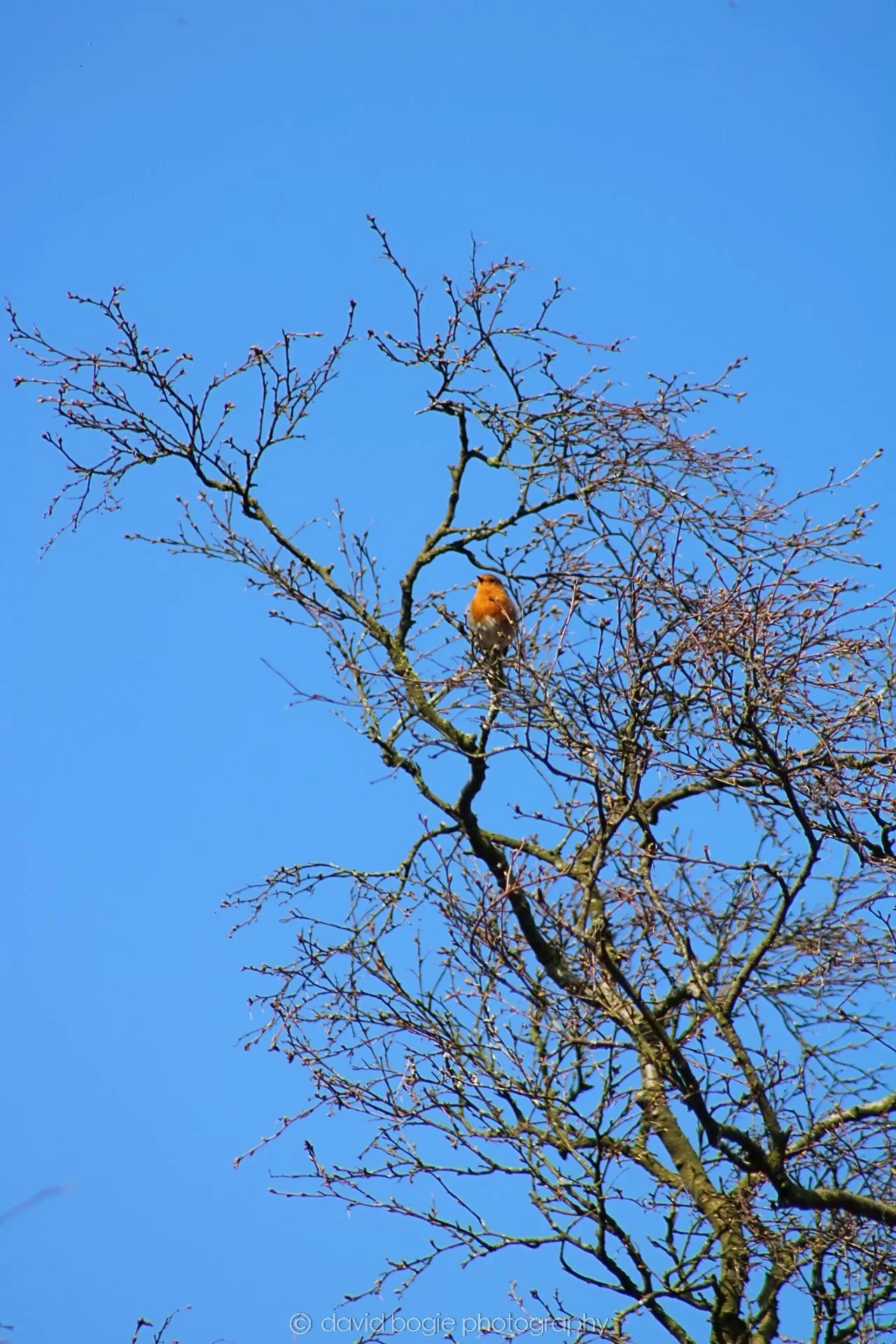 20190410 102748 Vane Farm 0005.jpg