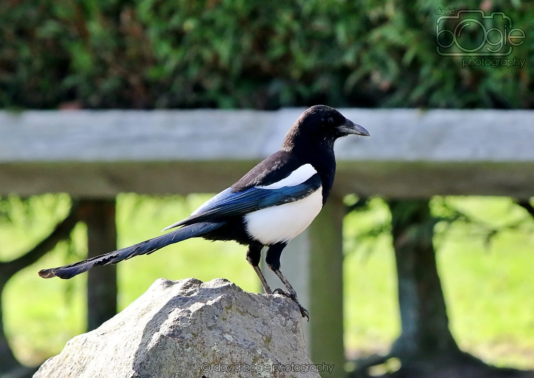 20260319 123128 Beveridge Park 0228.jpg