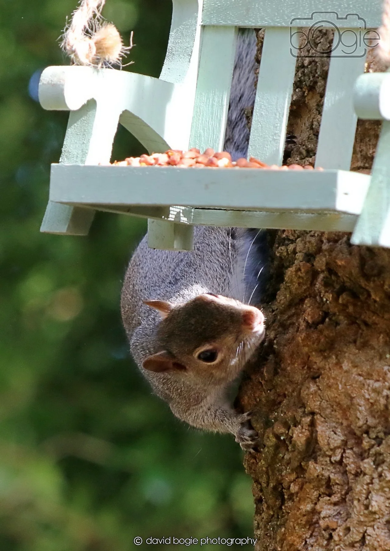 20260403 122200 Dunnikier 0177.jpg