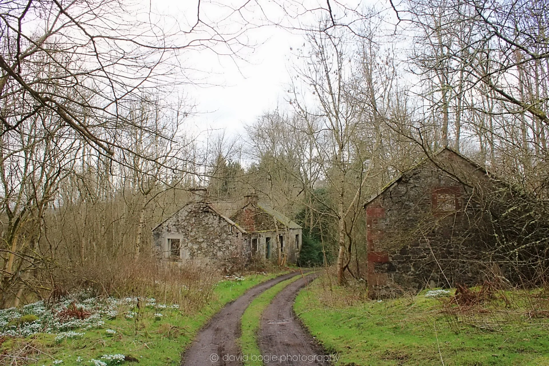 20190219 132041 Glenfarg 0023.jpg
