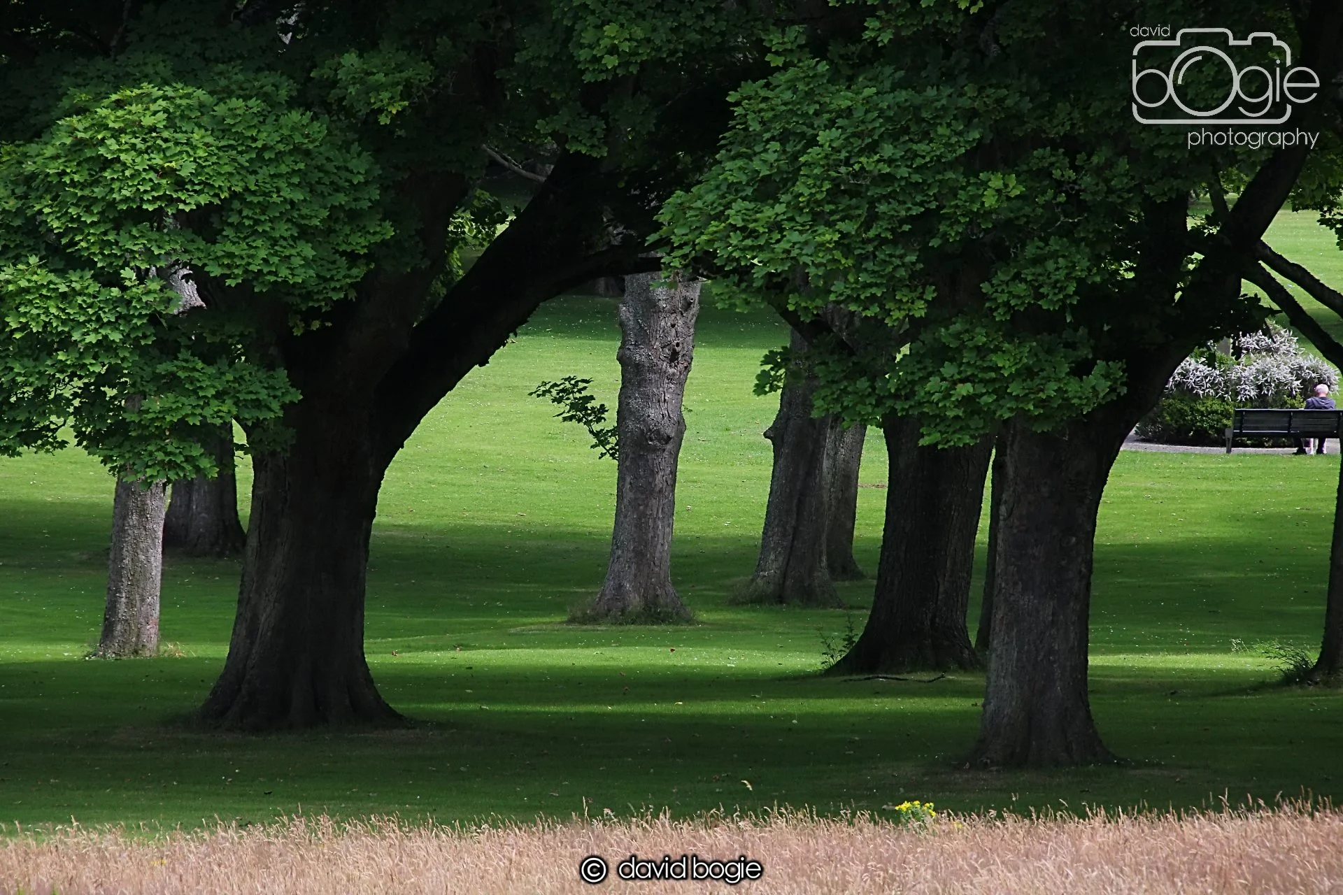 20240722 125812 Beveridge 0064.JPG