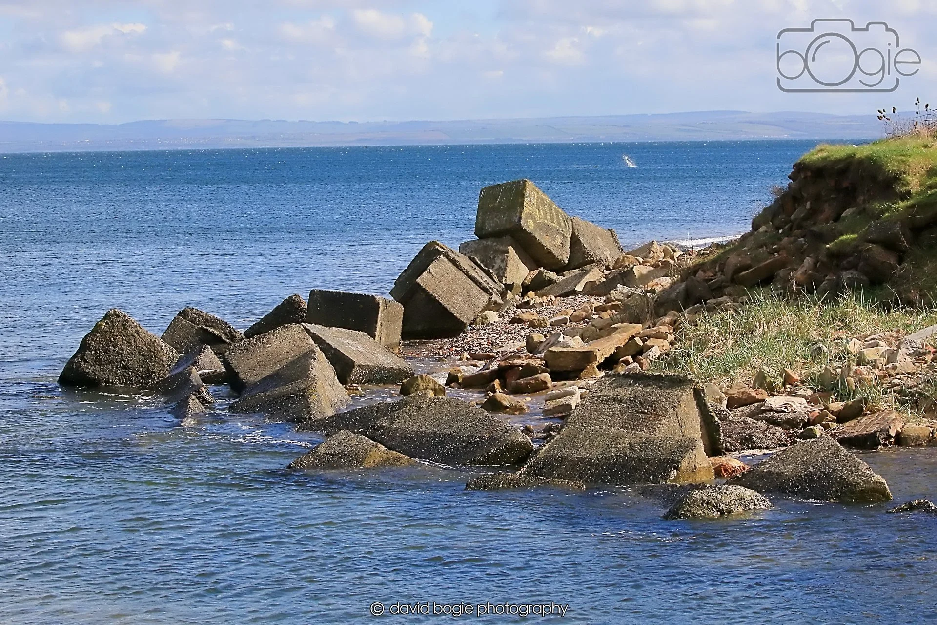 20260418 150650 Links Market 0517.jpg