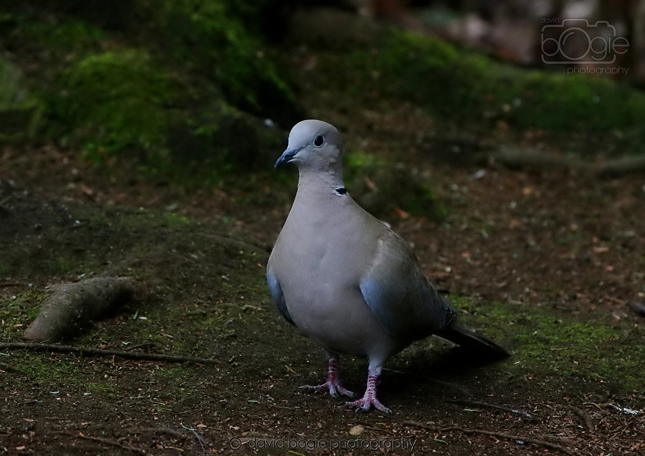 20260309 114010 Dunnikier 0257.jpg