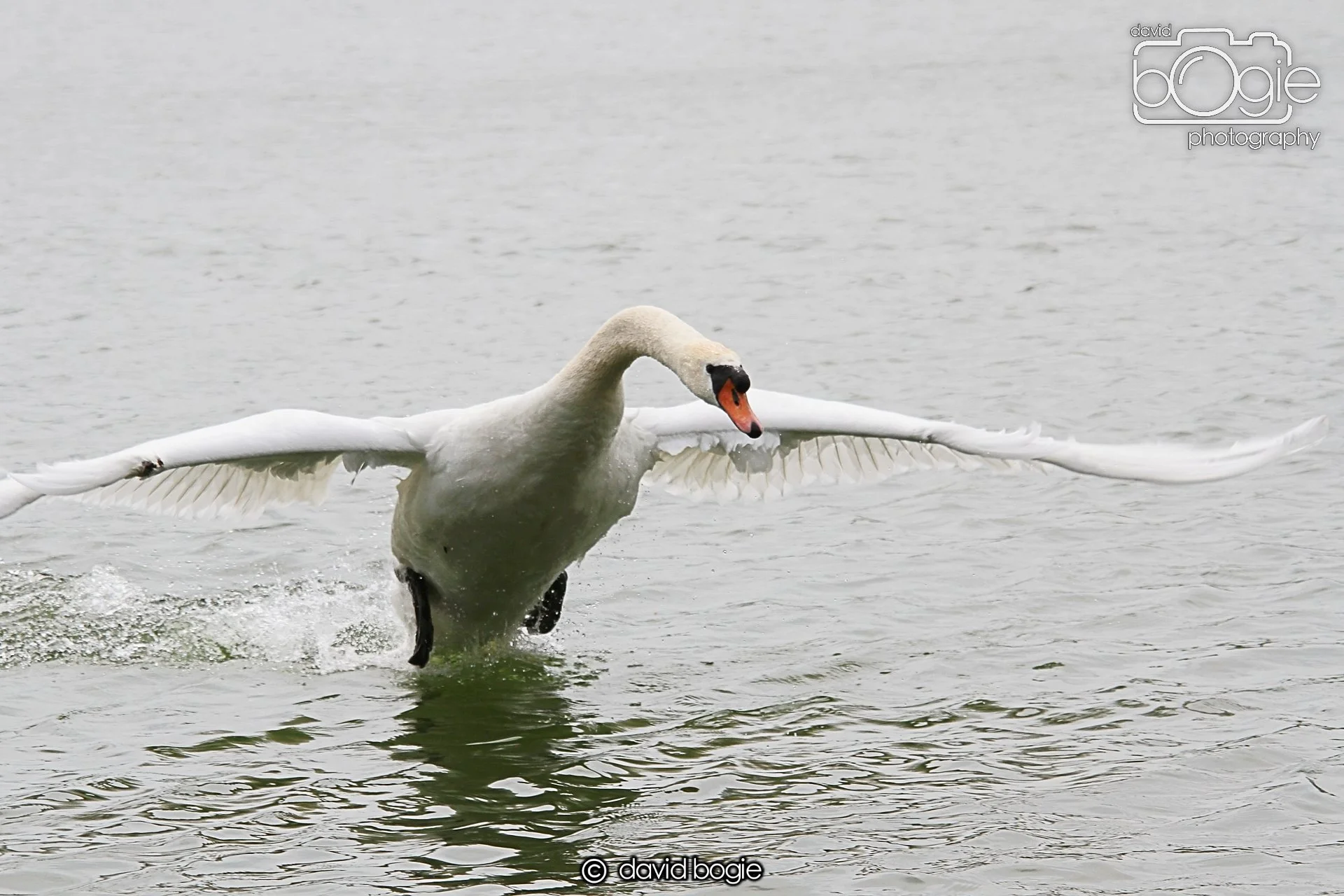 20230618 Kinghorn Loch 120810 0178.jpg