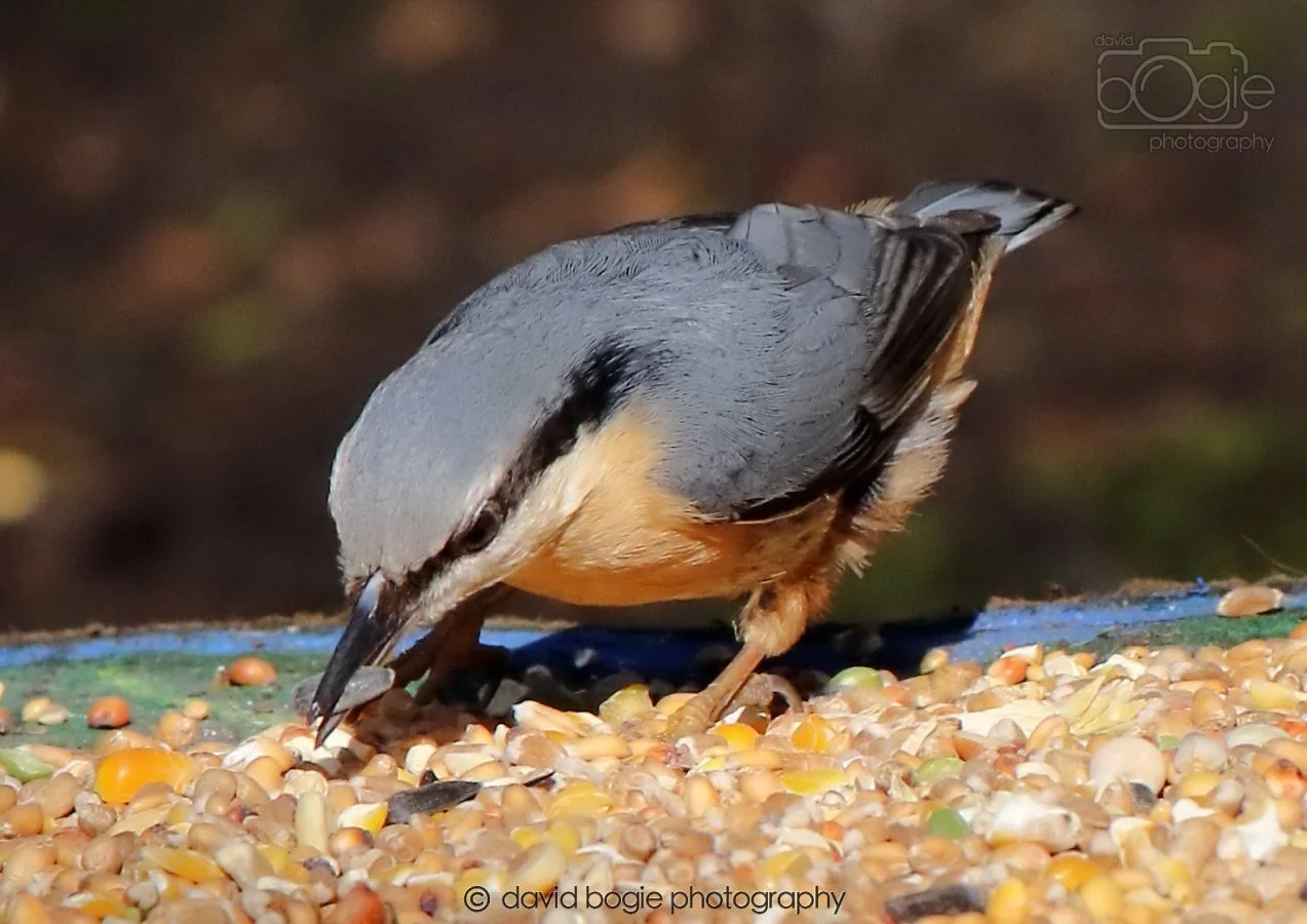 20260306 115613 Dunnikier 0399.jpg